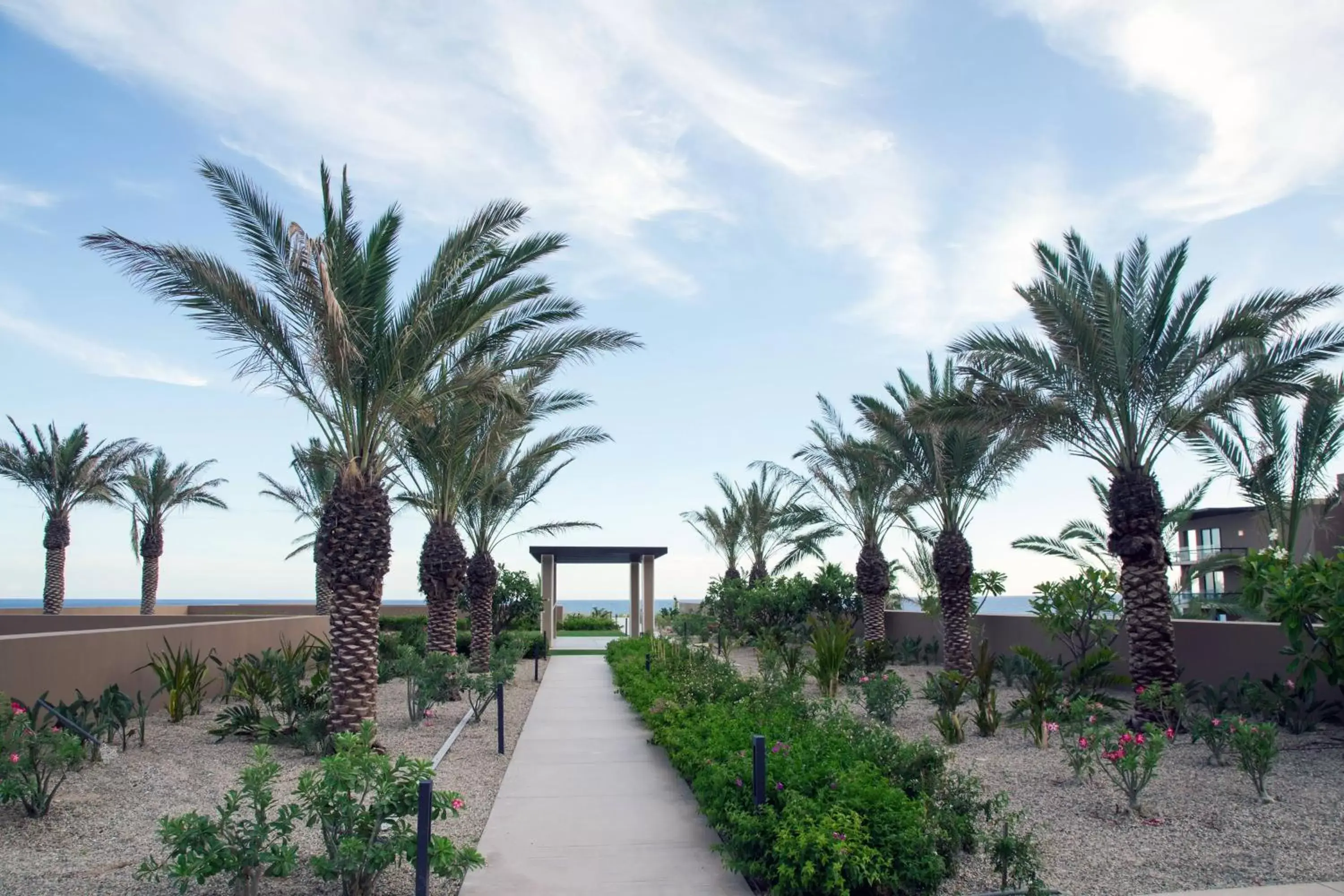 Meeting/conference room in JW Marriott Los Cabos Beach Resort & Spa