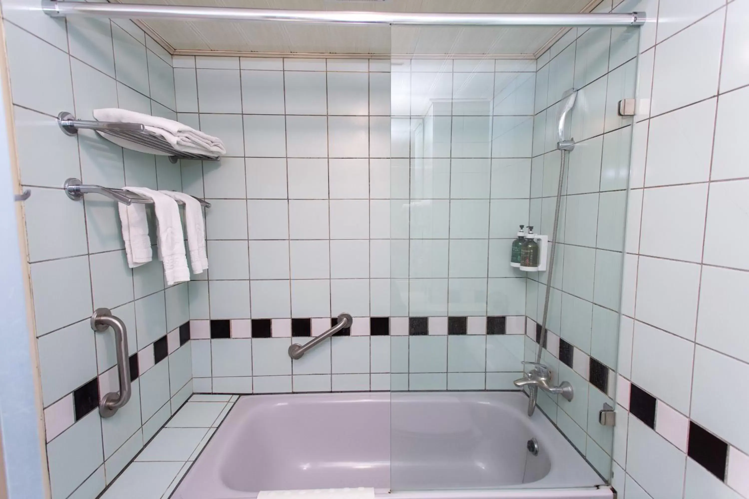 Shower, Bathroom in Ardi Hotel
