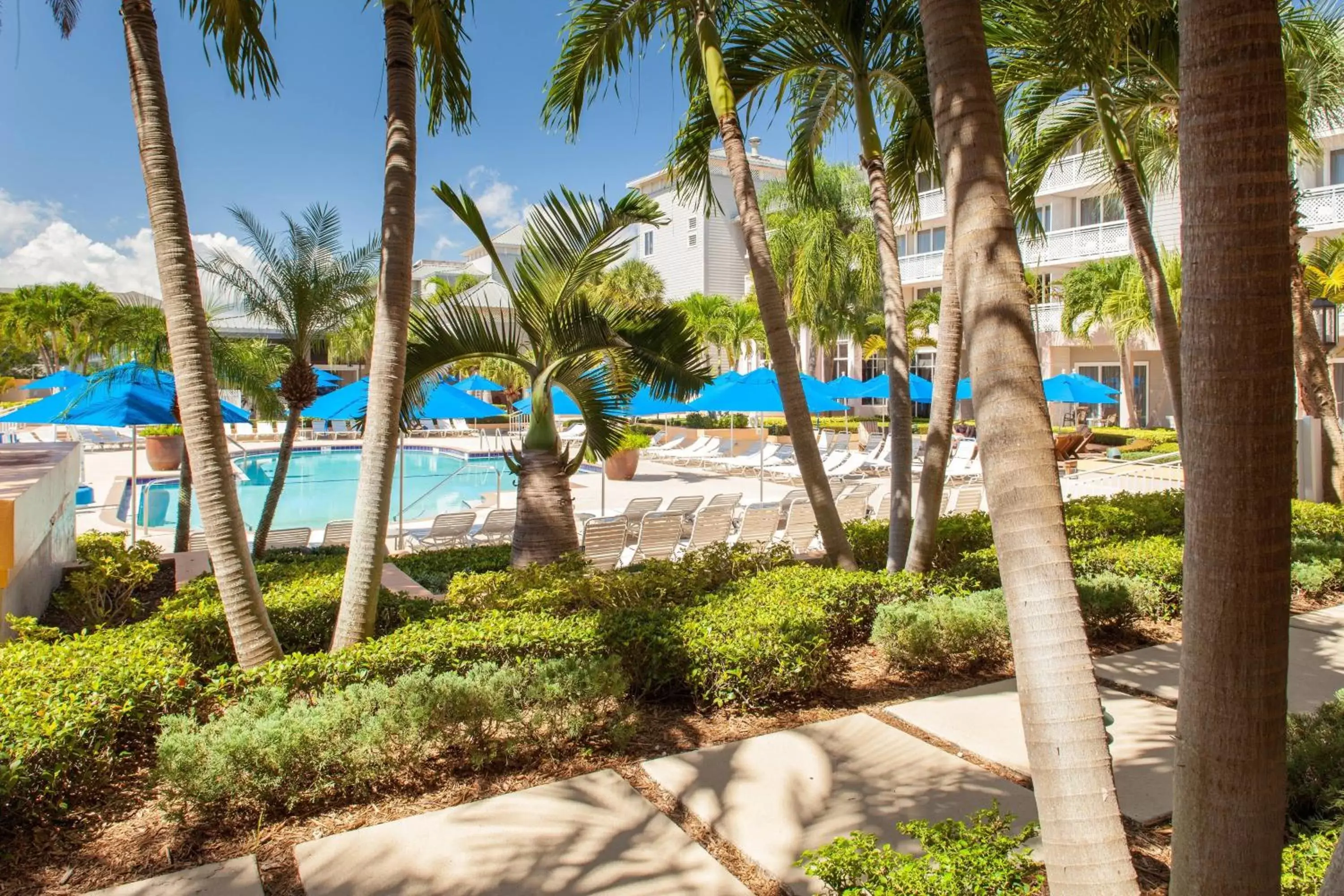 Swimming pool, Pool View in Marriott Hutchinson Island Beach Resort, Golf & Marina