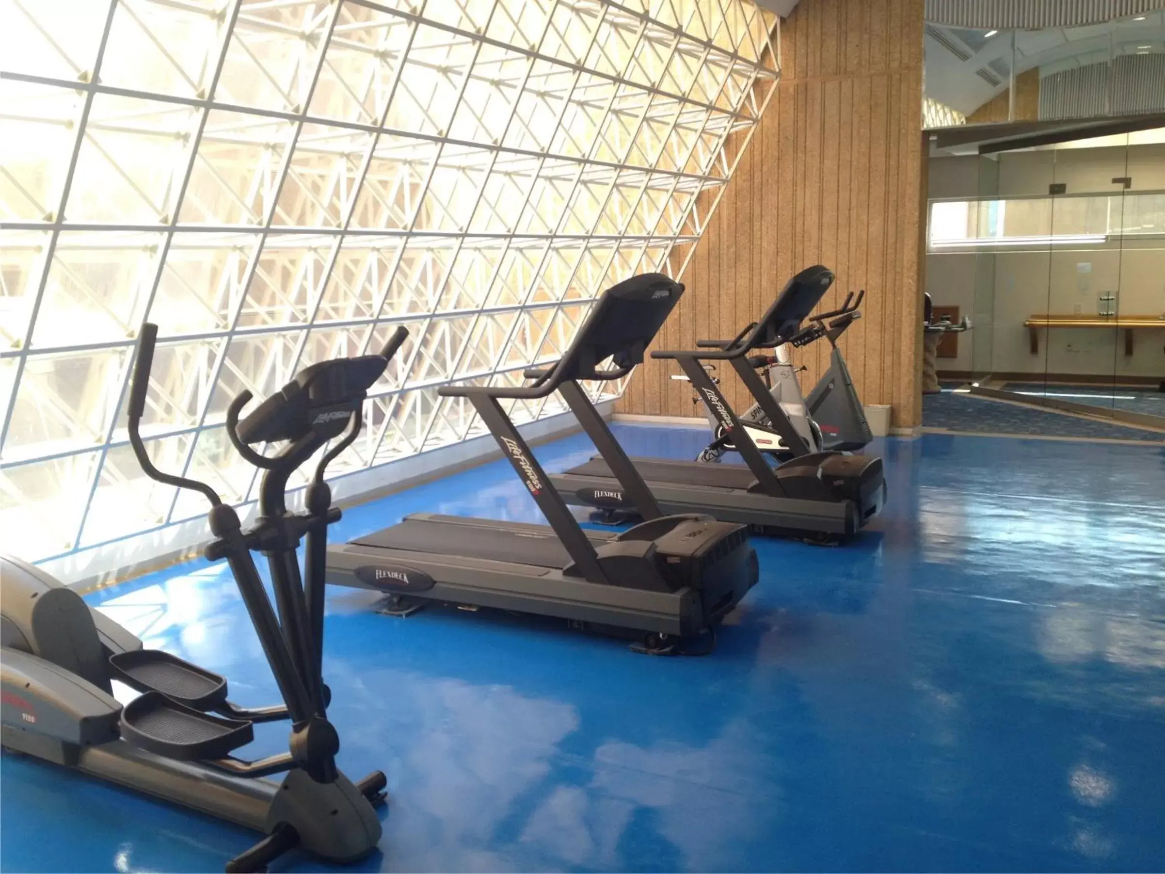 Fitness centre/facilities, Fitness Center/Facilities in Hotel Mirage