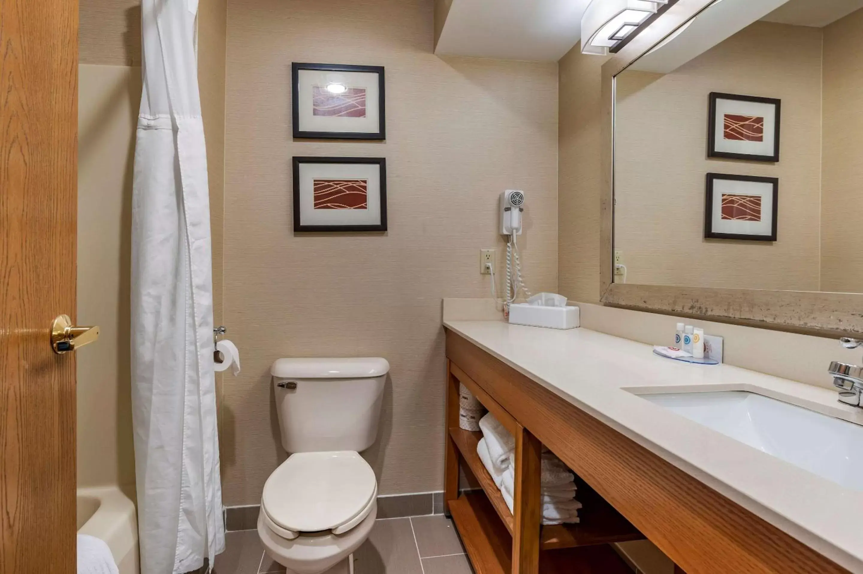Bathroom in Comfort Inn & Suites Napoleon