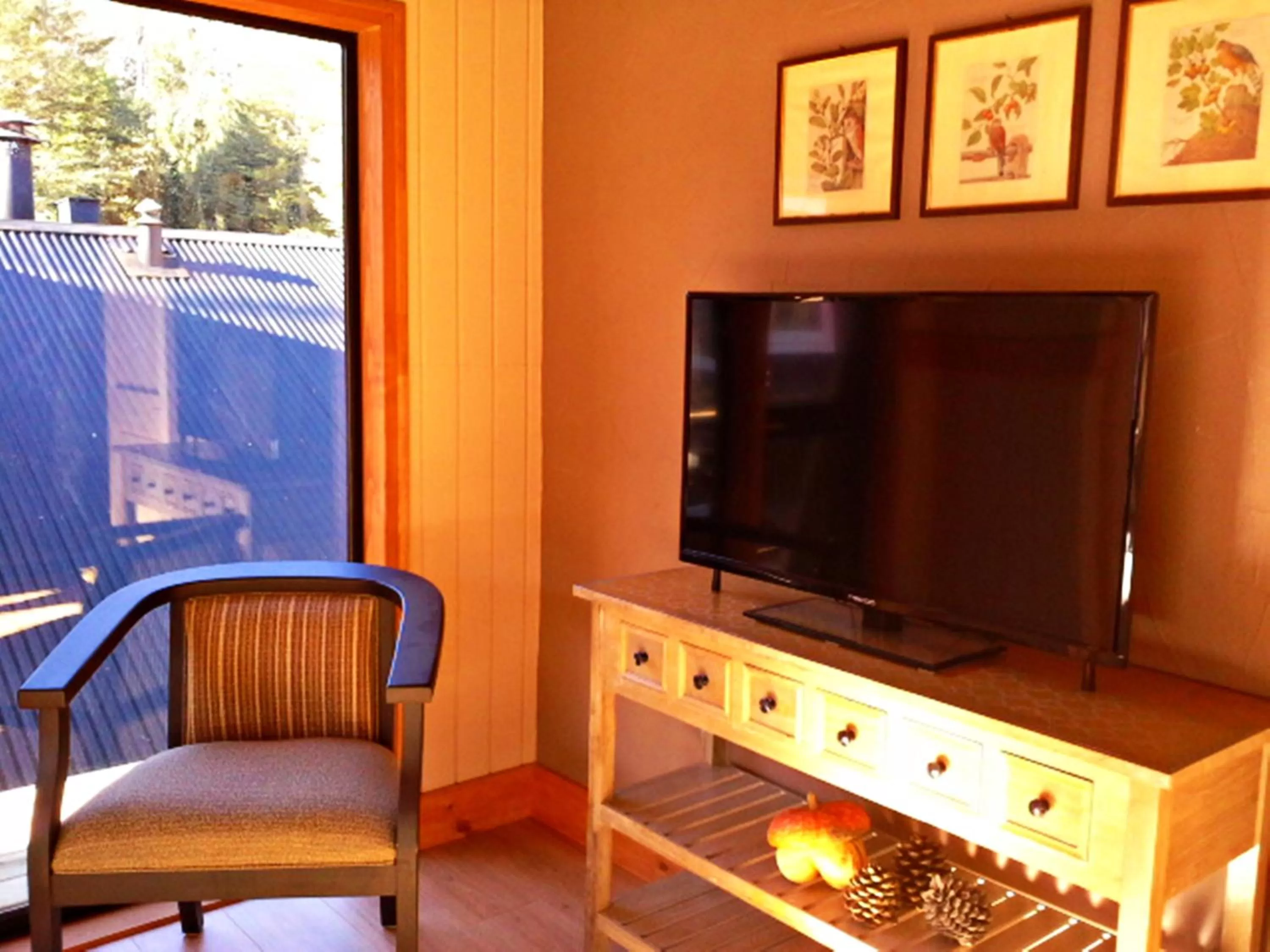 TV and multimedia, Seating Area in Hotel Salto del Carileufu