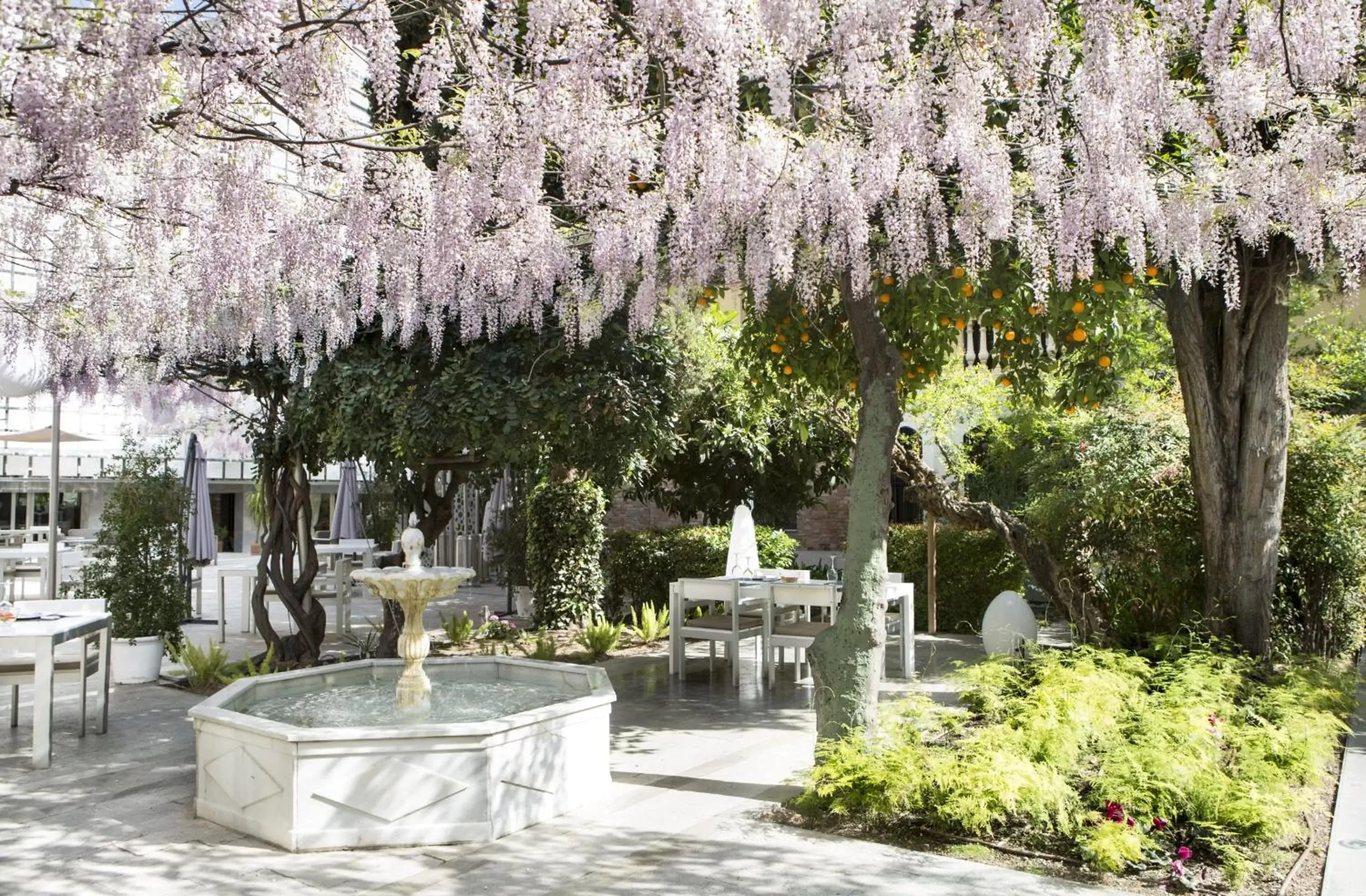 Garden in Hospes Palacio de los Patos