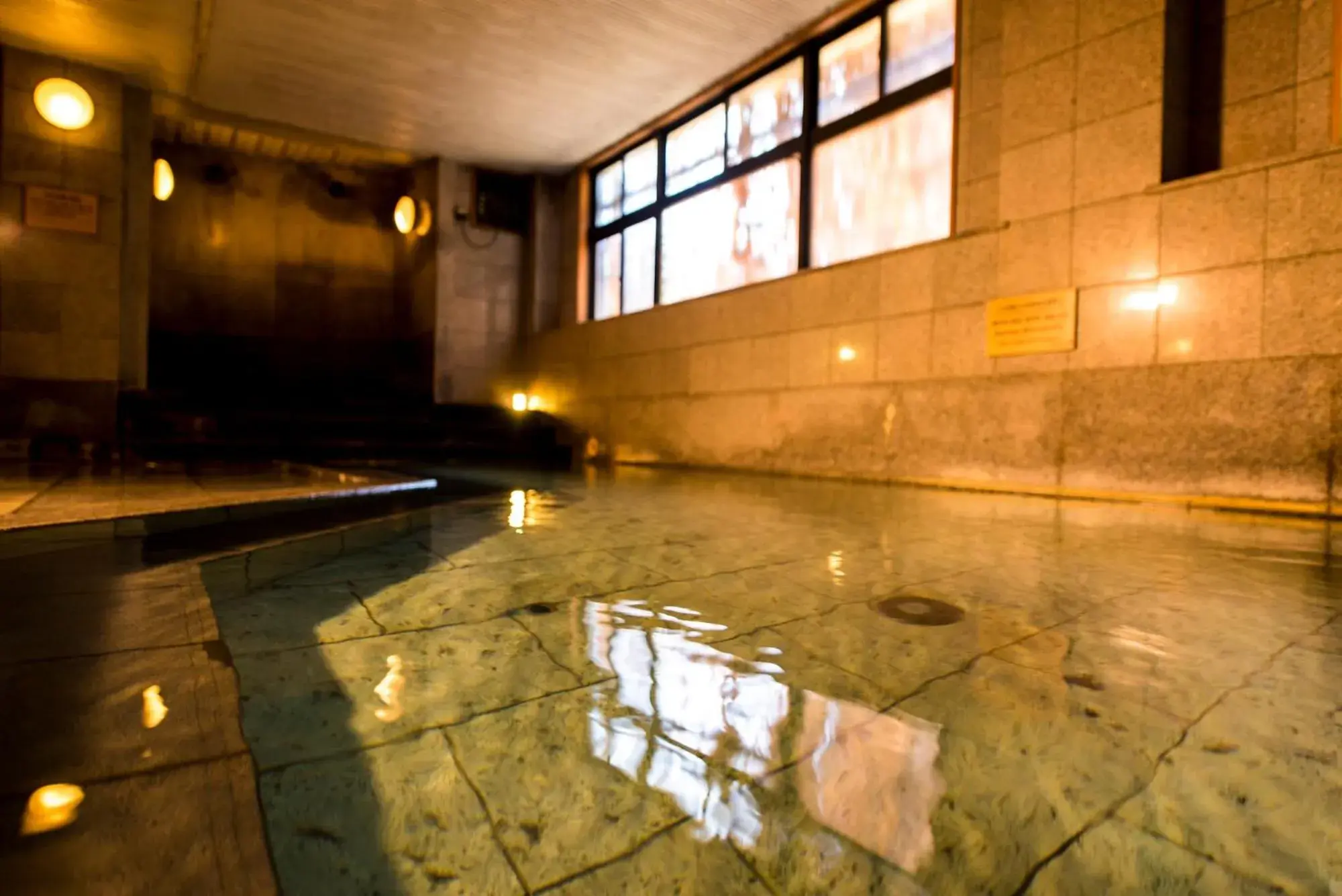 Swimming Pool in Takamiya Ryokan Yamakawa