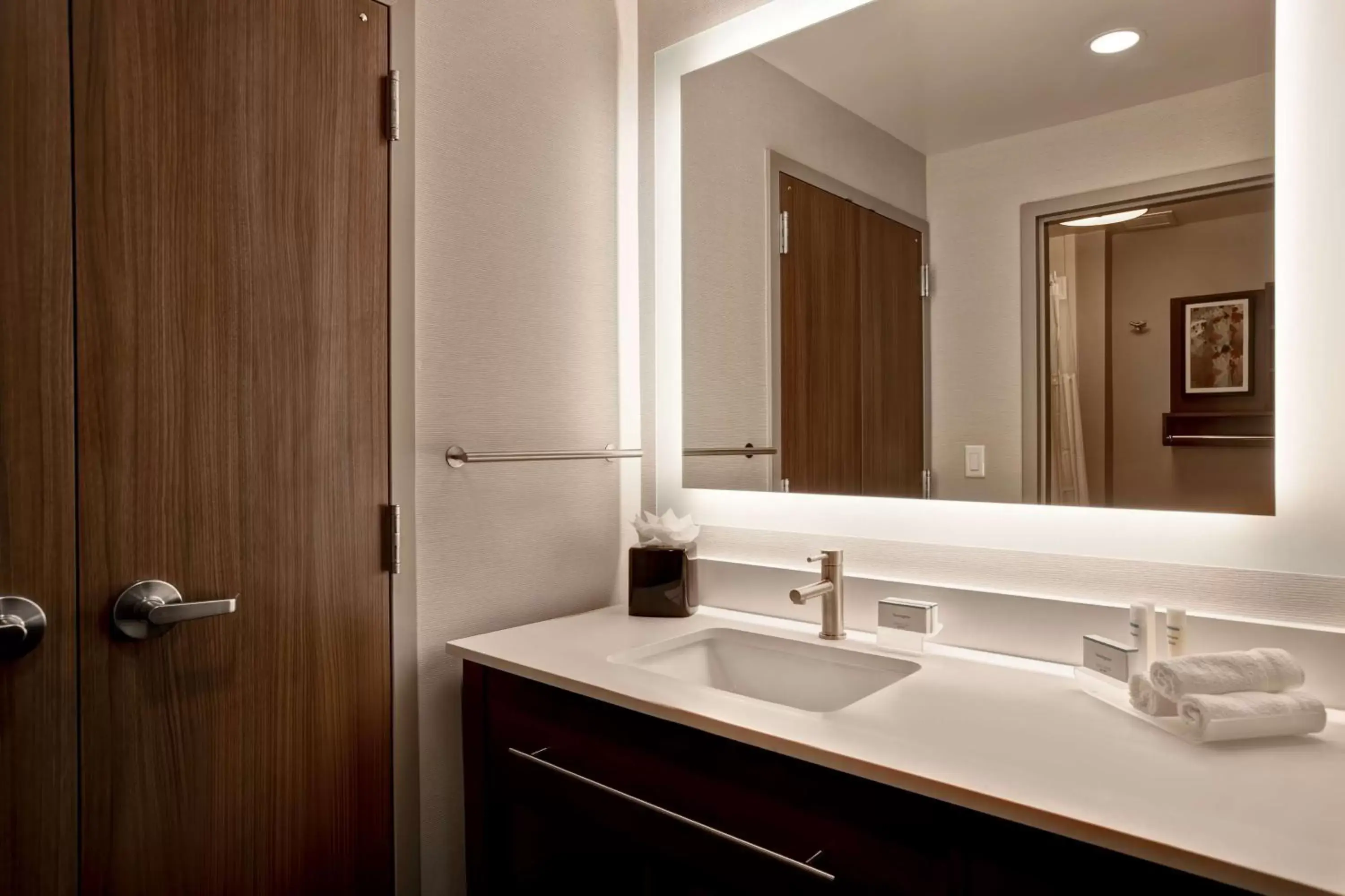 Bathroom in Homewood Suites By Hilton Summerville