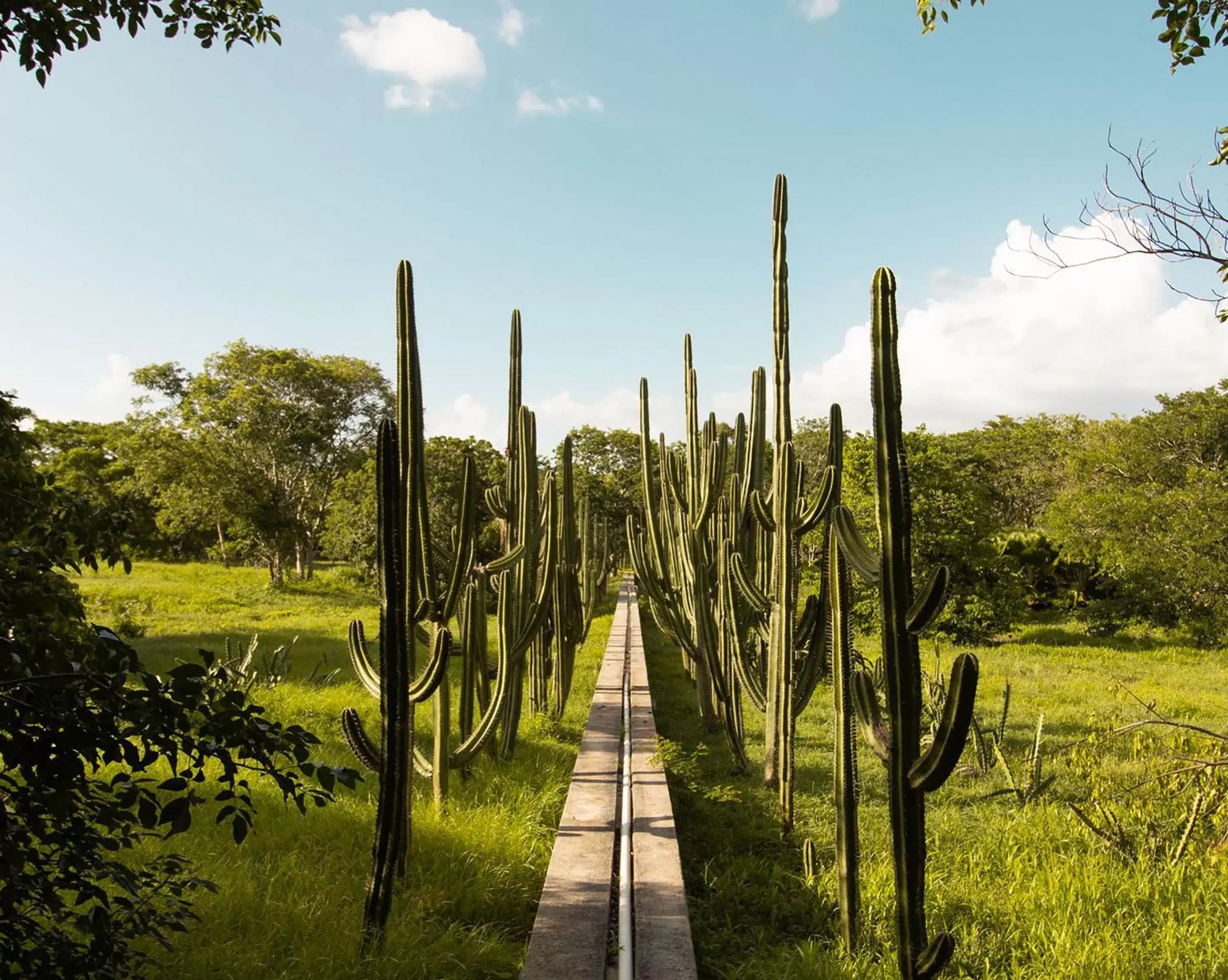 View (from property/room) in HACIENDA SAN ANTONIO MILLET