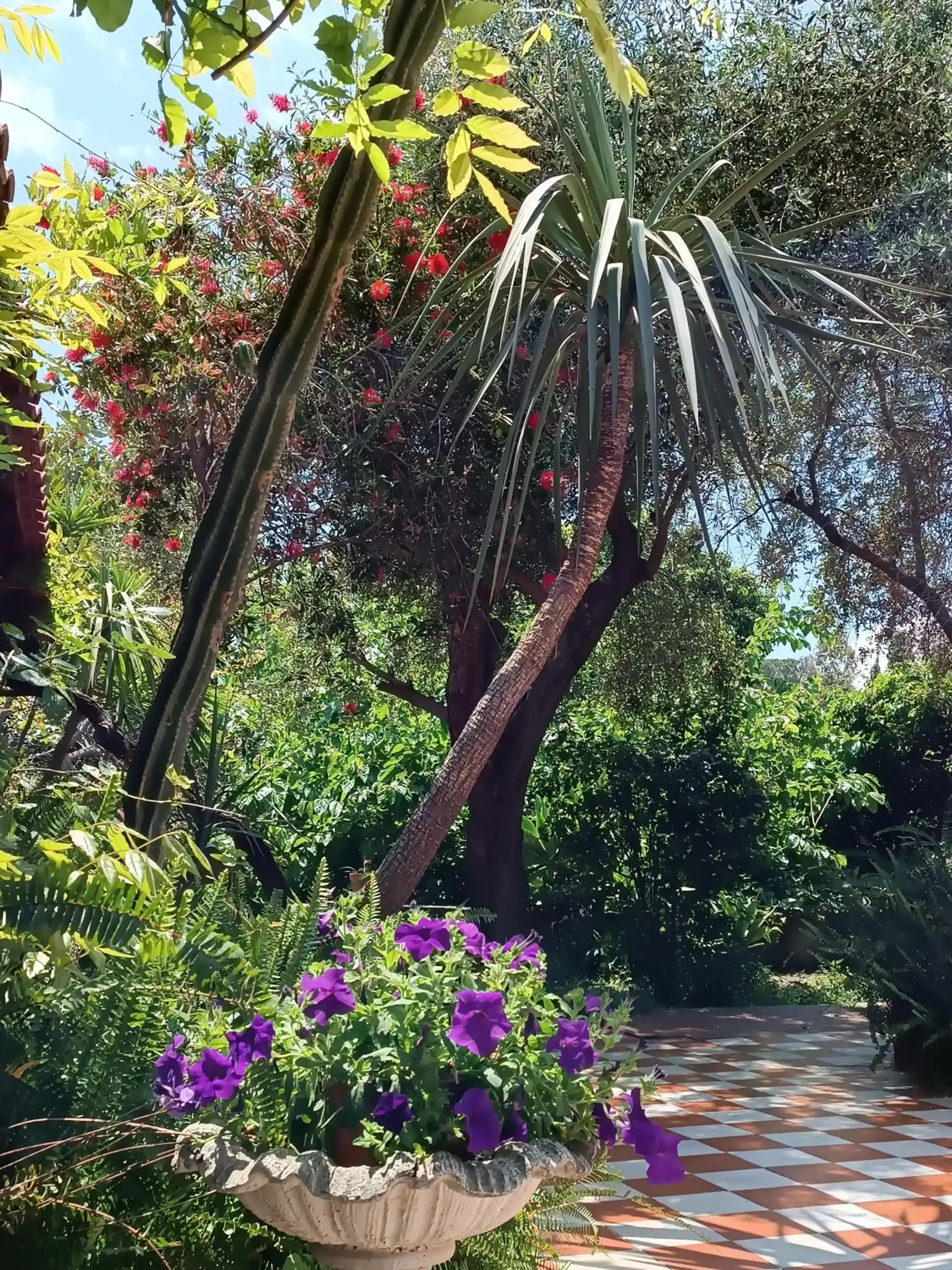 Garden in B&B Villa Lidia