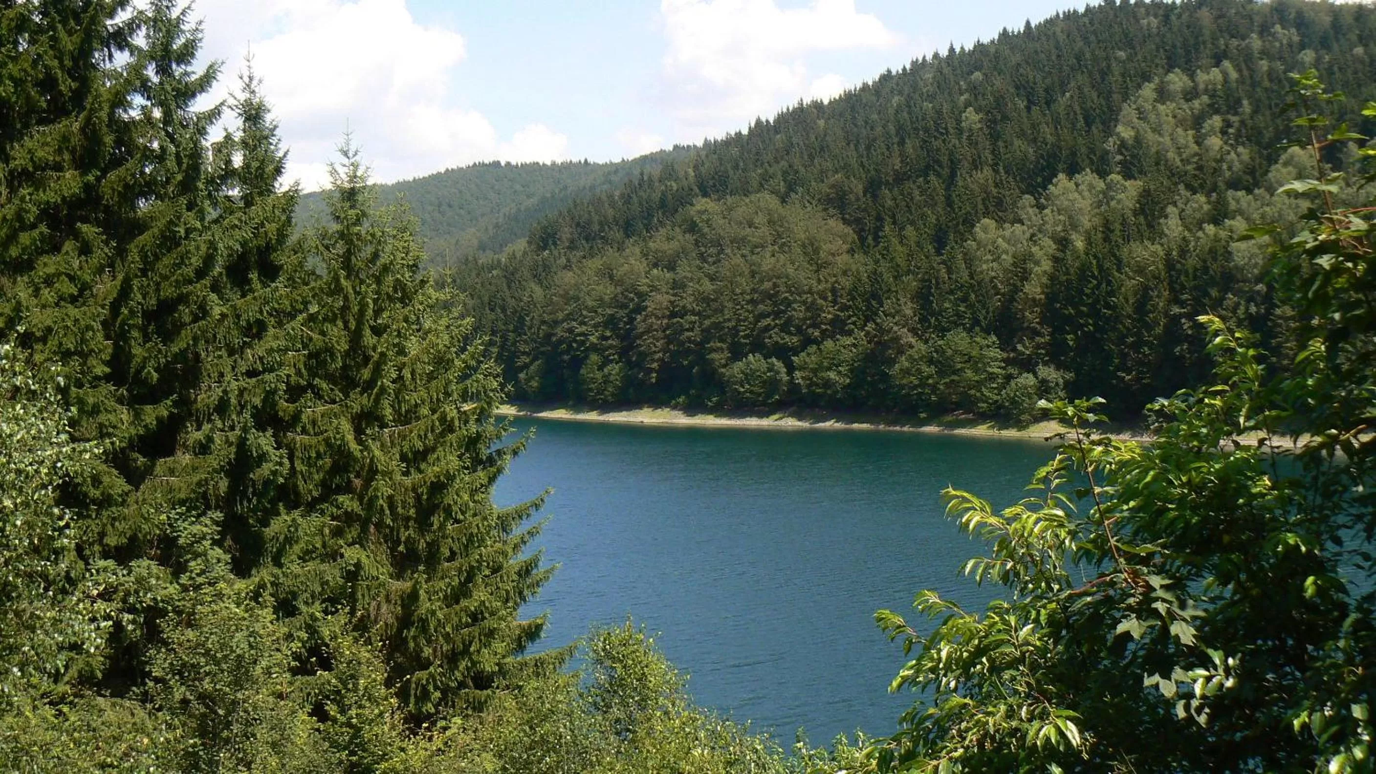 Natural landscape in Hotel Auerhahn