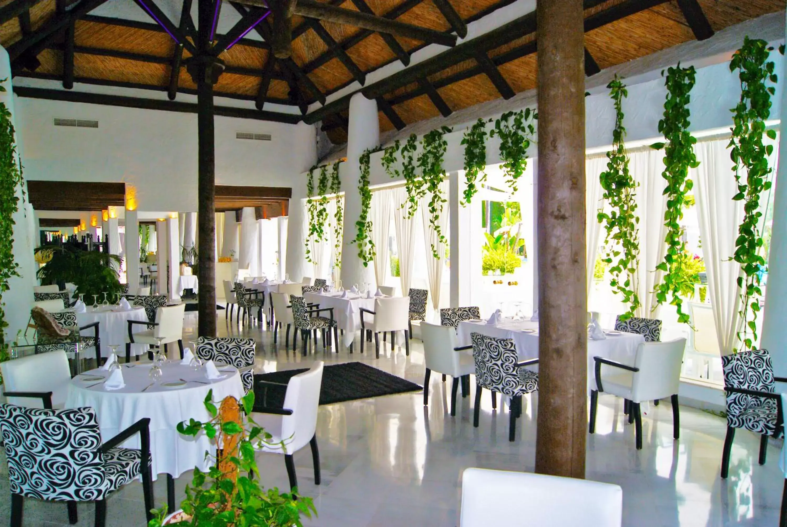 Restaurant/Places to Eat in Hotel Suites Albayzin Del Mar