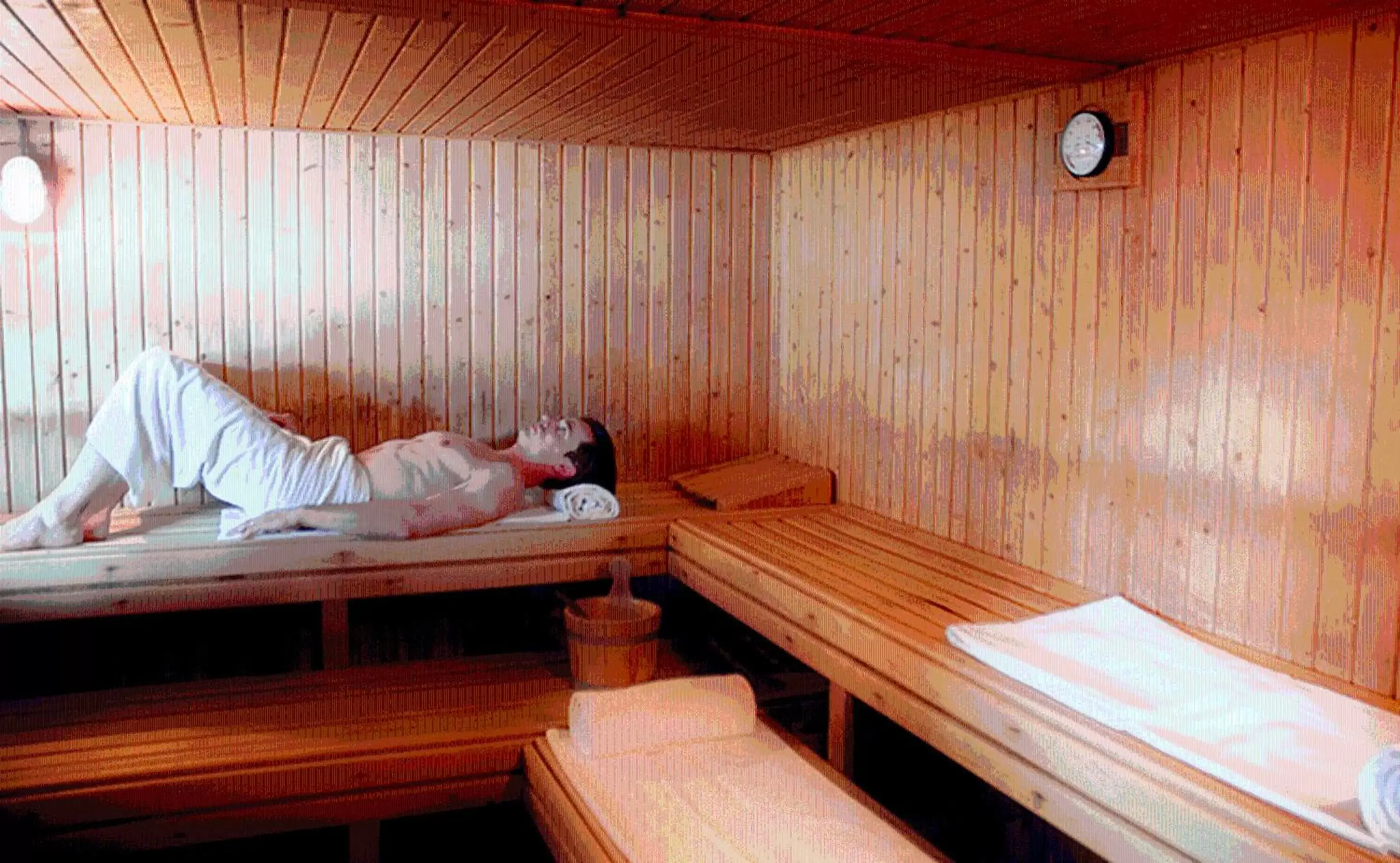 Sauna in Andorra Palace