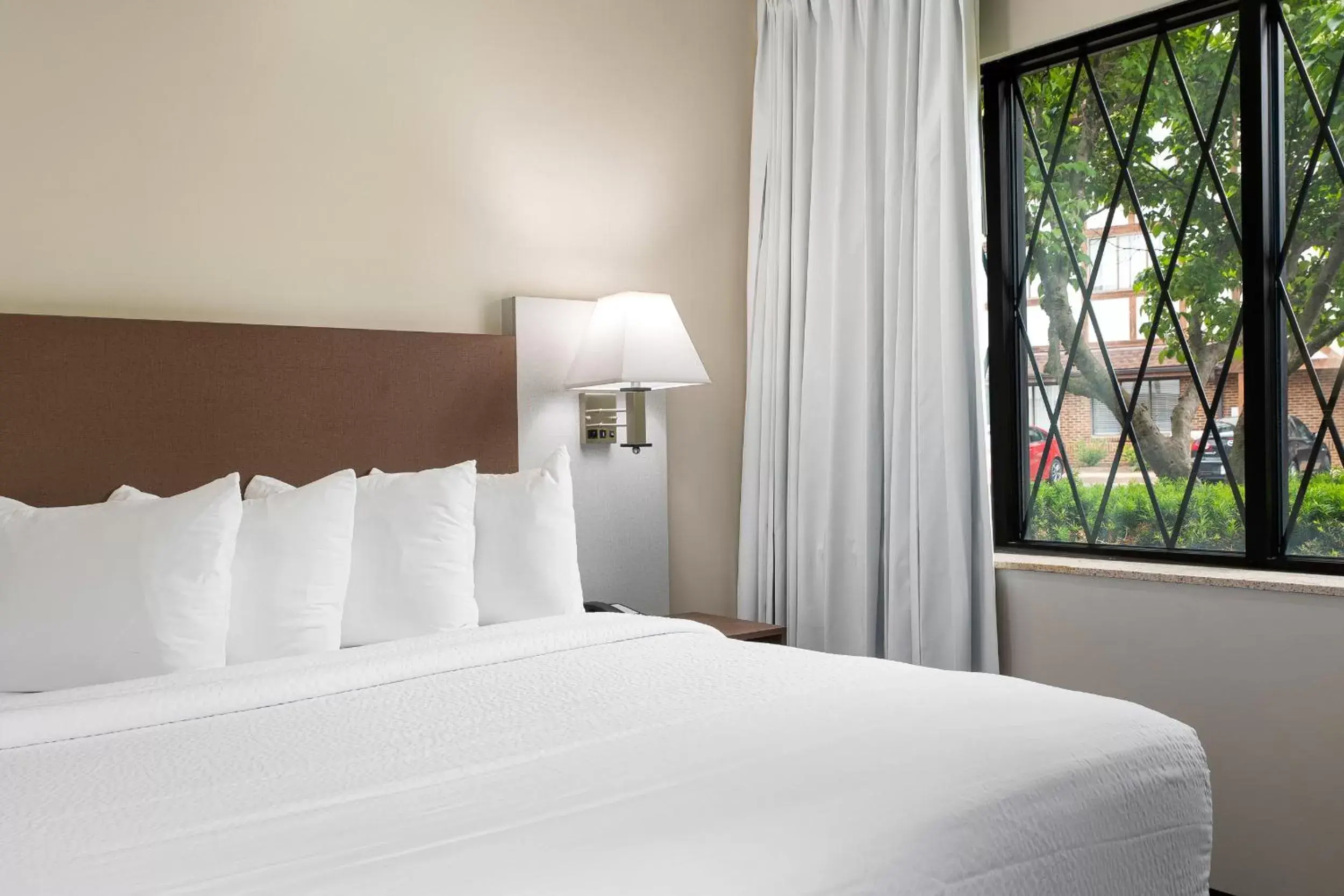 One-Bedroom Suite in The English Inn of Charlottesville One-Bedroom Suite in The English Inn of Charlottesville