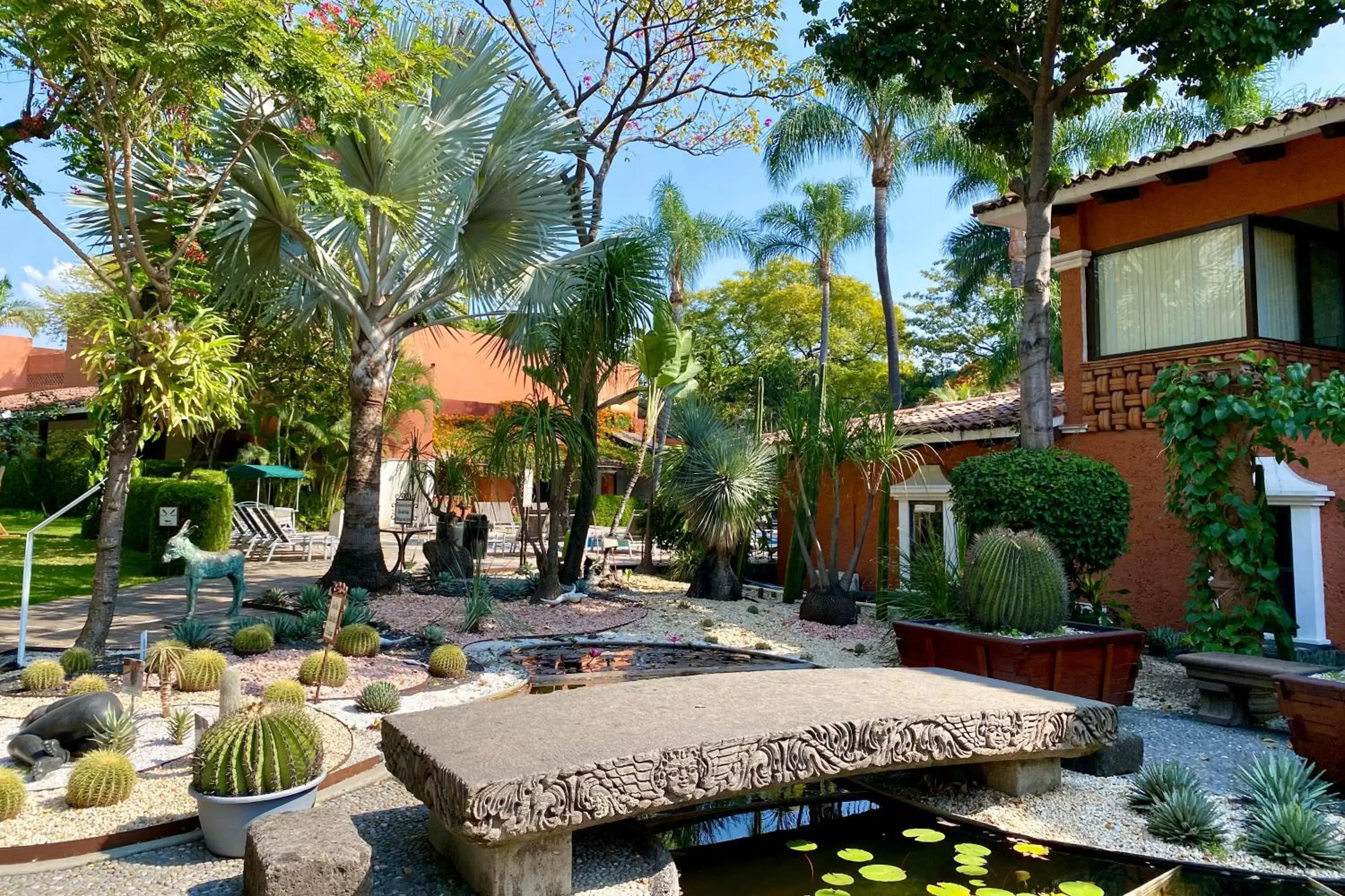Garden in Hosteria Las Quintas Hotel & Spa