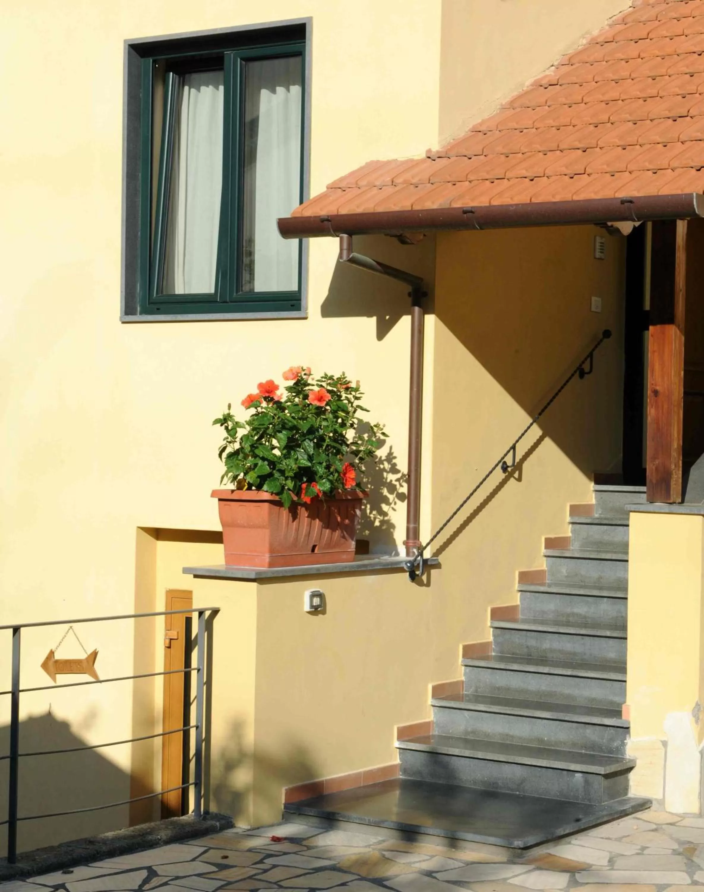 Area and facilities in Hotel Tourist