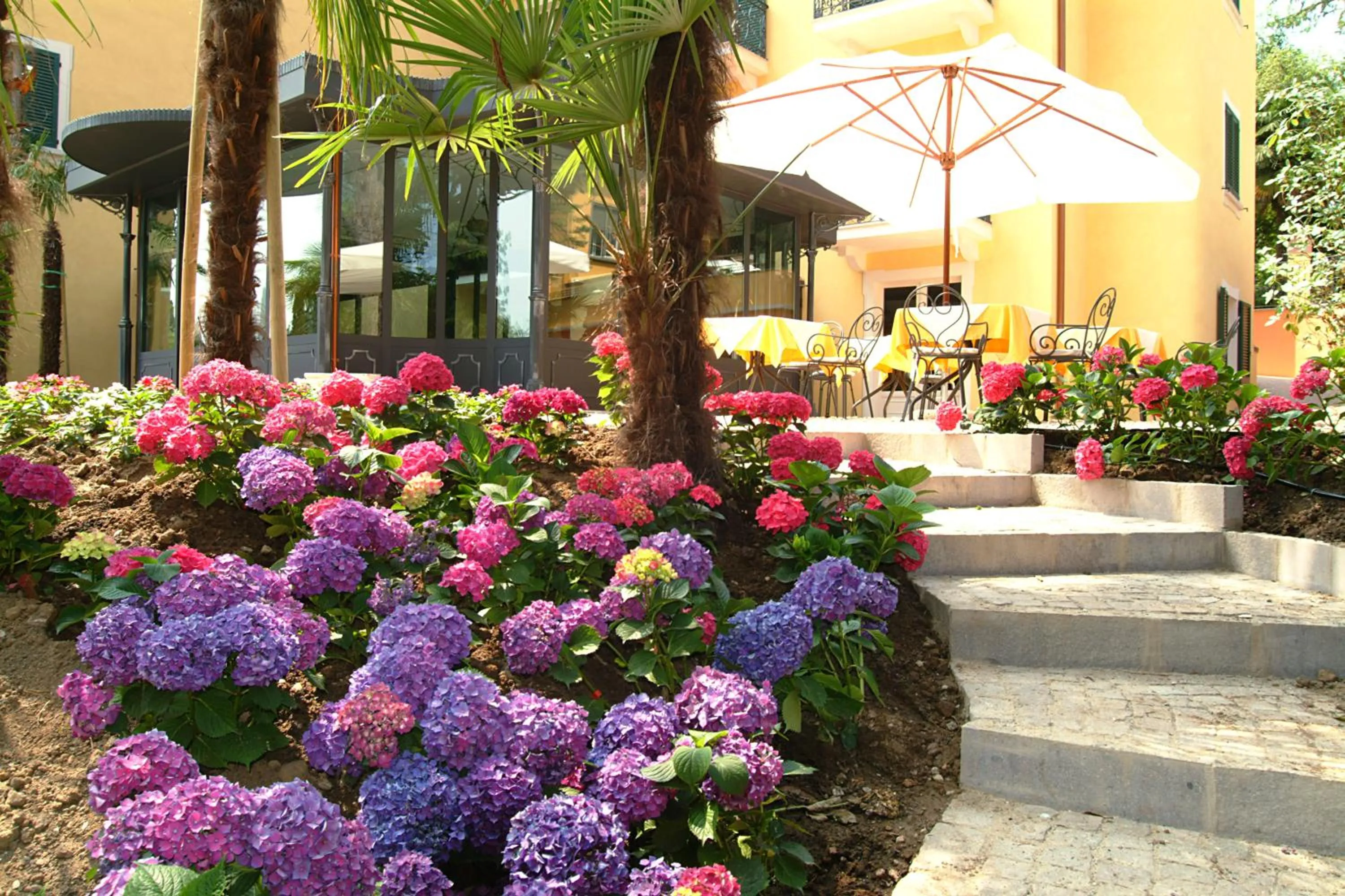 Area and facilities in Villa Sofia Hotel