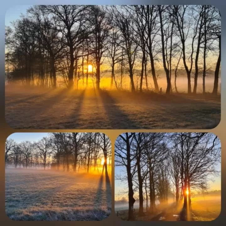 Area and facilities in La Rose