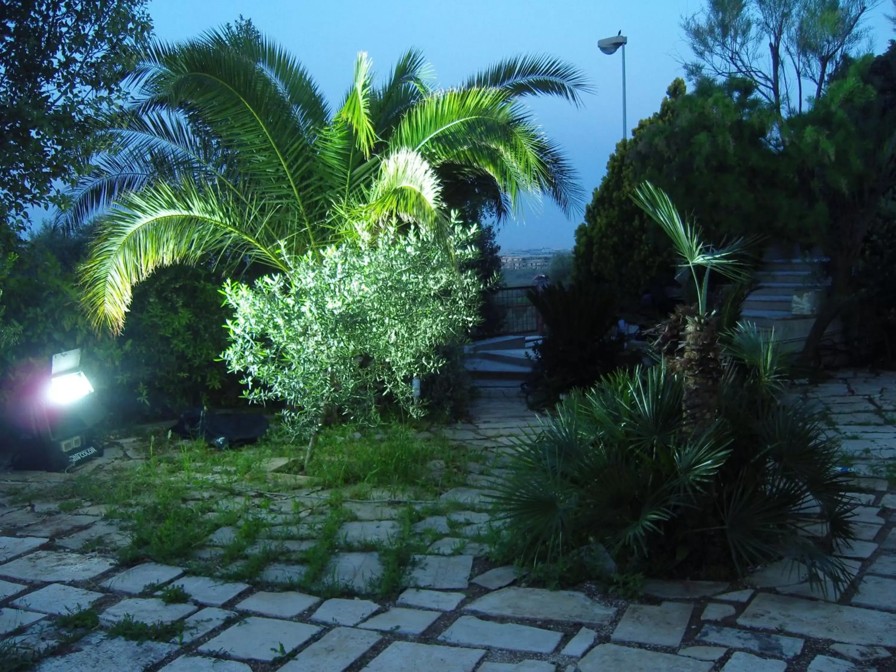 Decorative detail, Garden in Le Sirene Bed and Breakfast