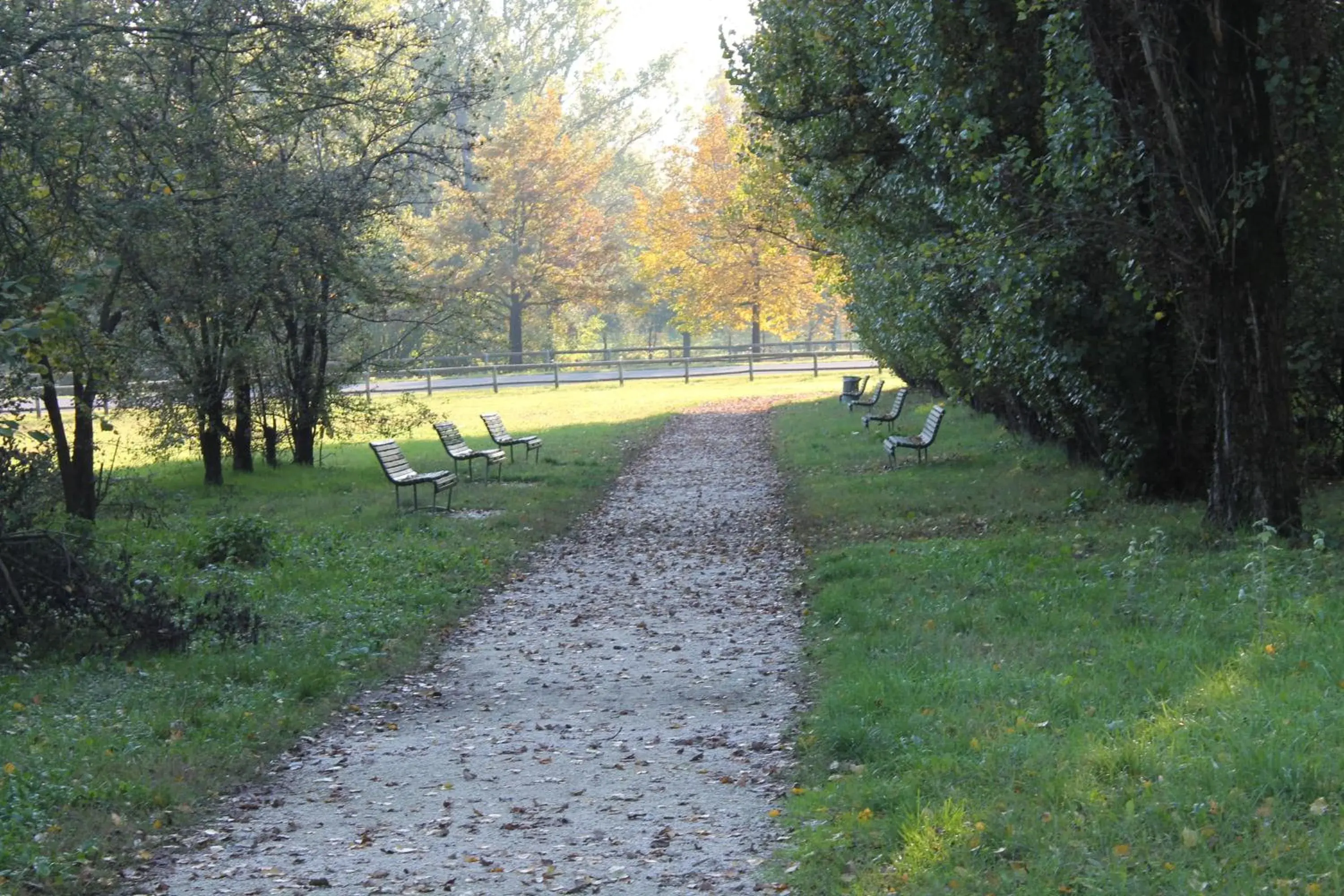 Cycling in Hotel Cremona Viale