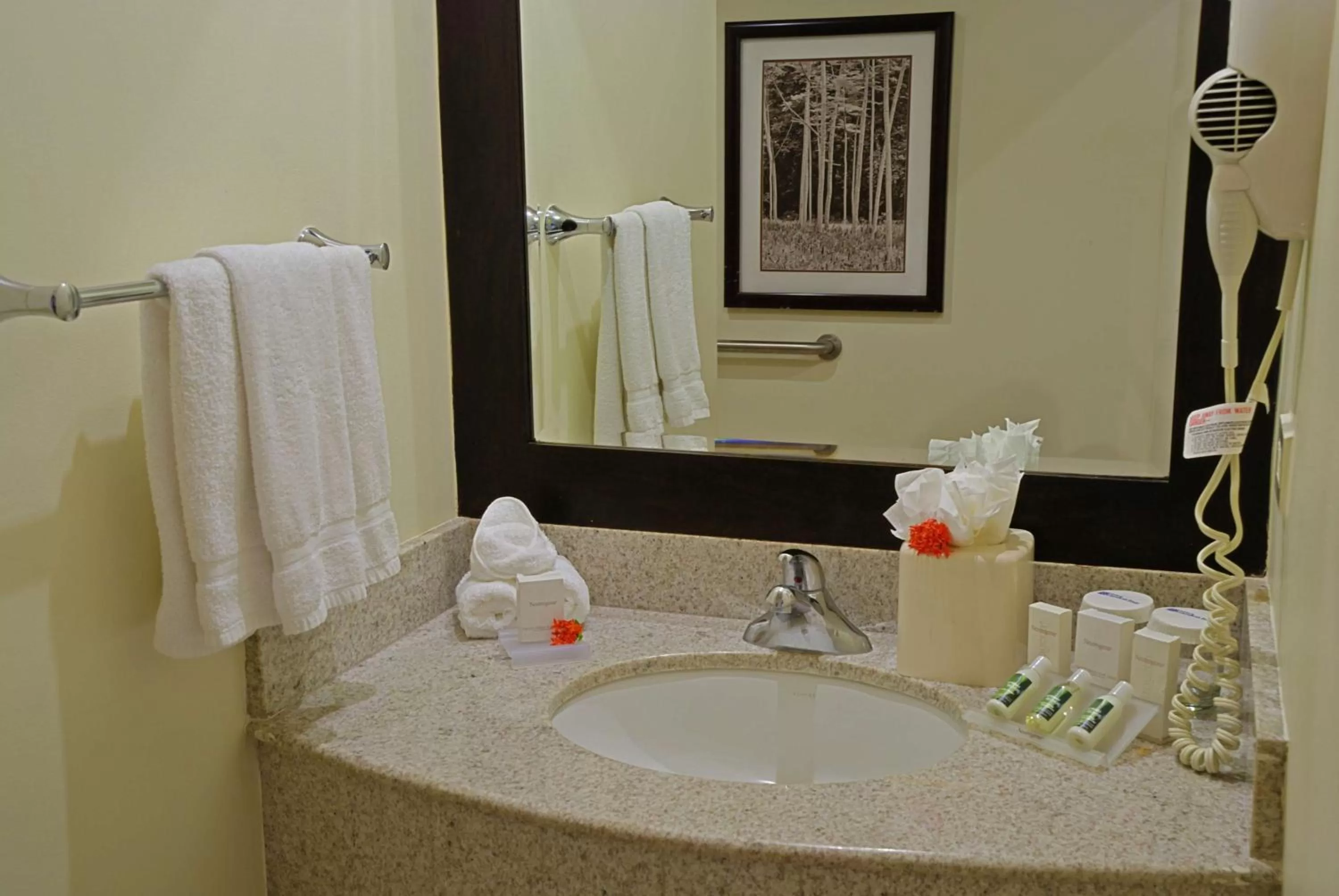 Bathroom in Hilton Garden Inn Guanacaste Airport