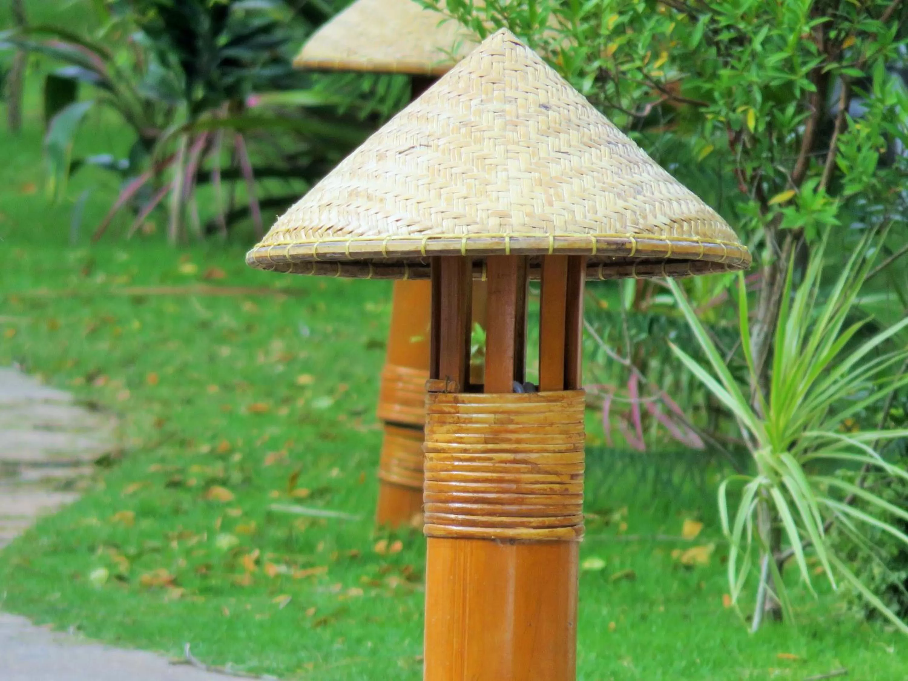 Garden in Kav&#x27;s Beach Resort