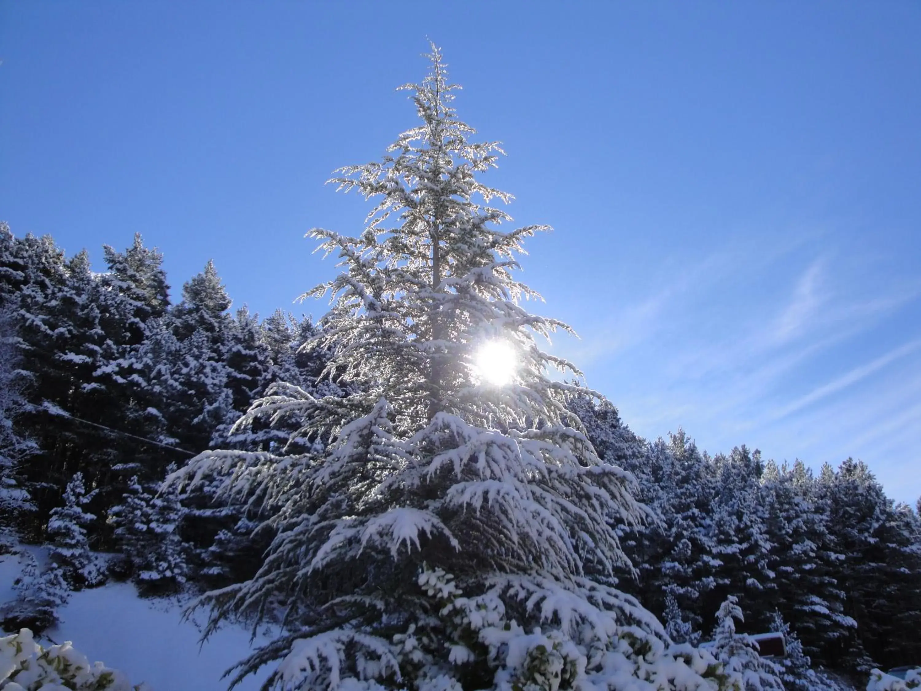 View (from property/room), Winter in Coma Bella