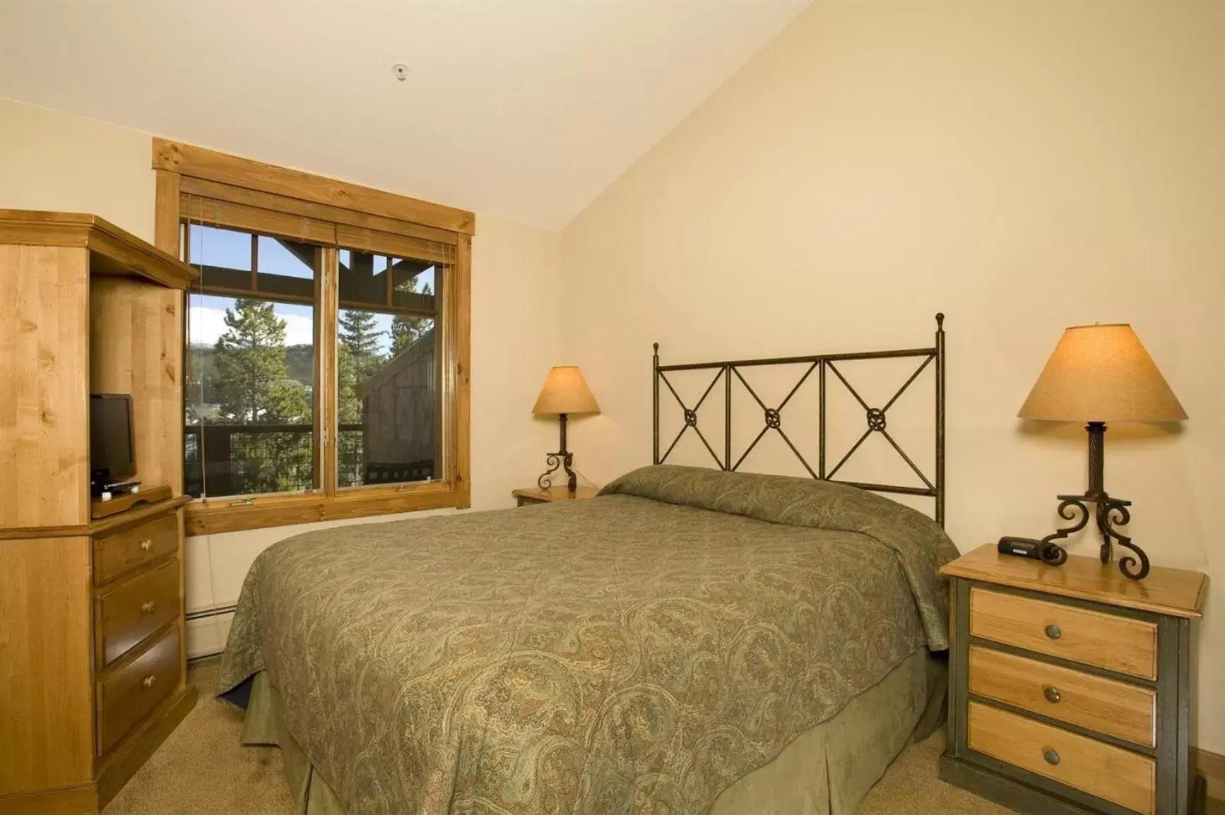 Photo of the whole room, Bed in Mountain Thunder Lodge