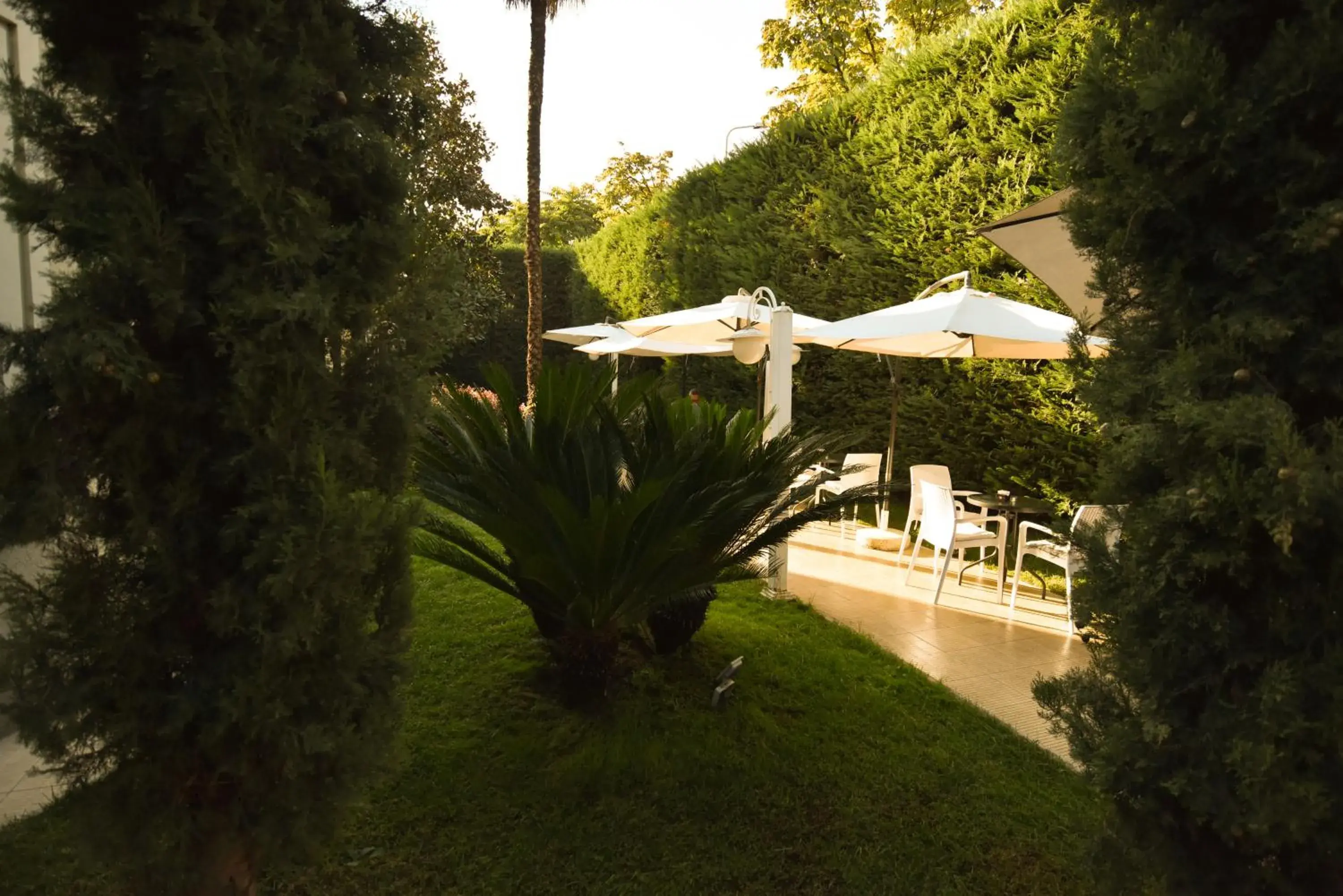 Garden, Swimming Pool in Hotel Sokrat