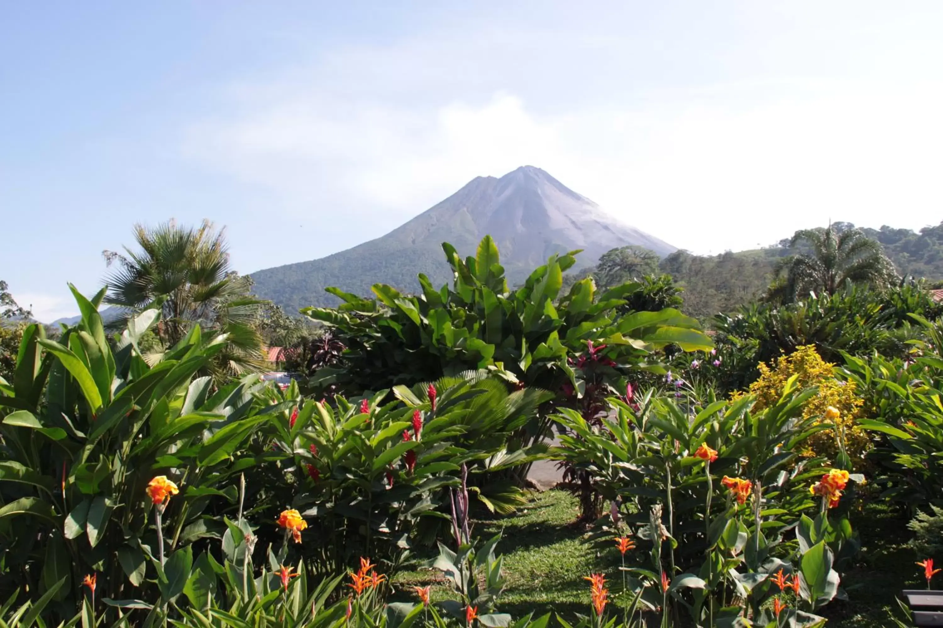 Garden, Mountain View in Volcano Lodge, Hotel & Thermal Experience