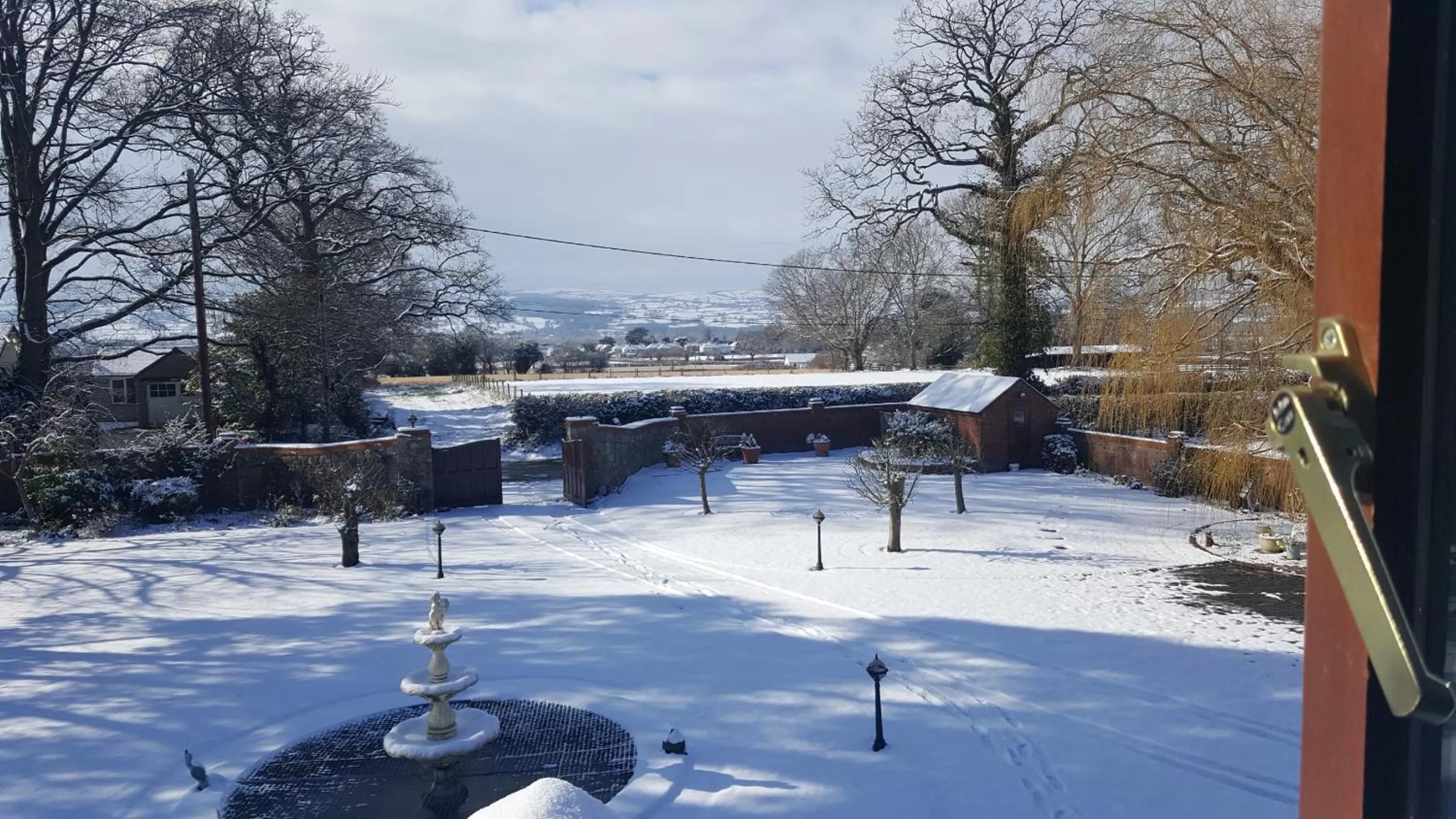 Other, Winter in Tall Trees