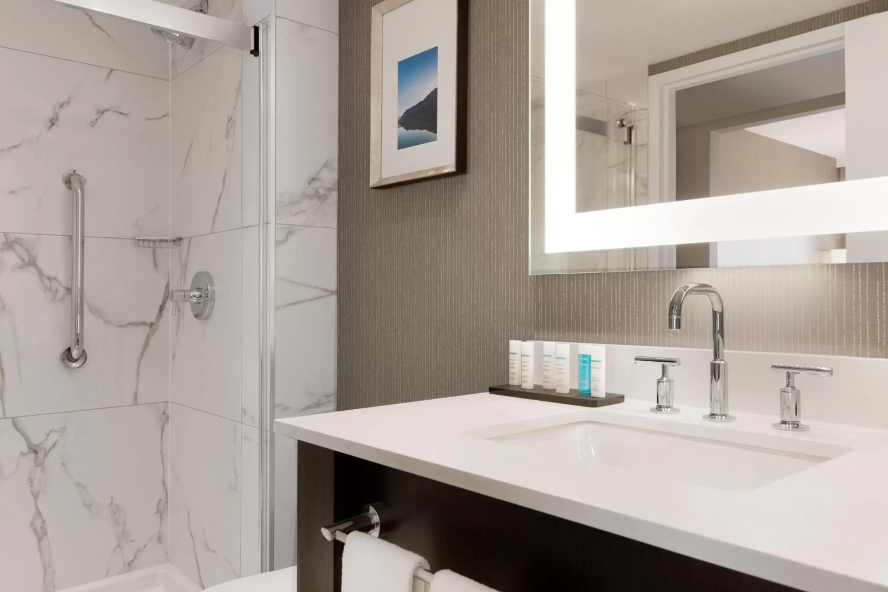 Bathroom in Embassy Suites By Hilton Toronto Airport