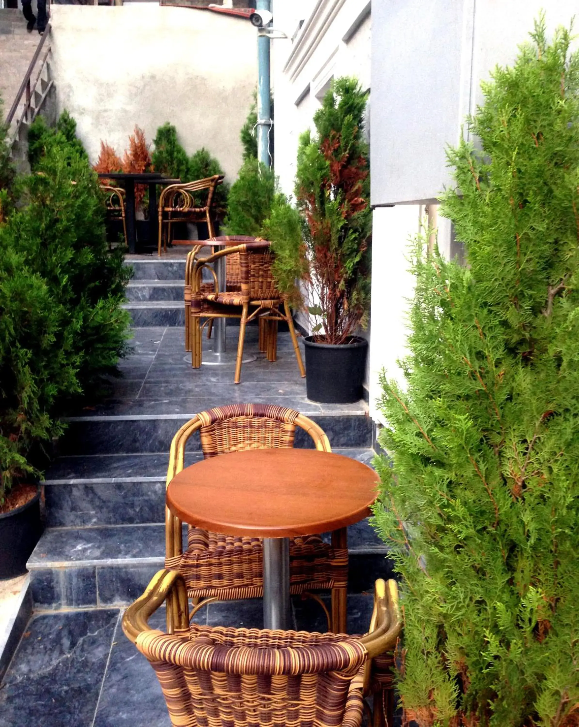 Garden, Seating Area in Comfort Hotel Taksim