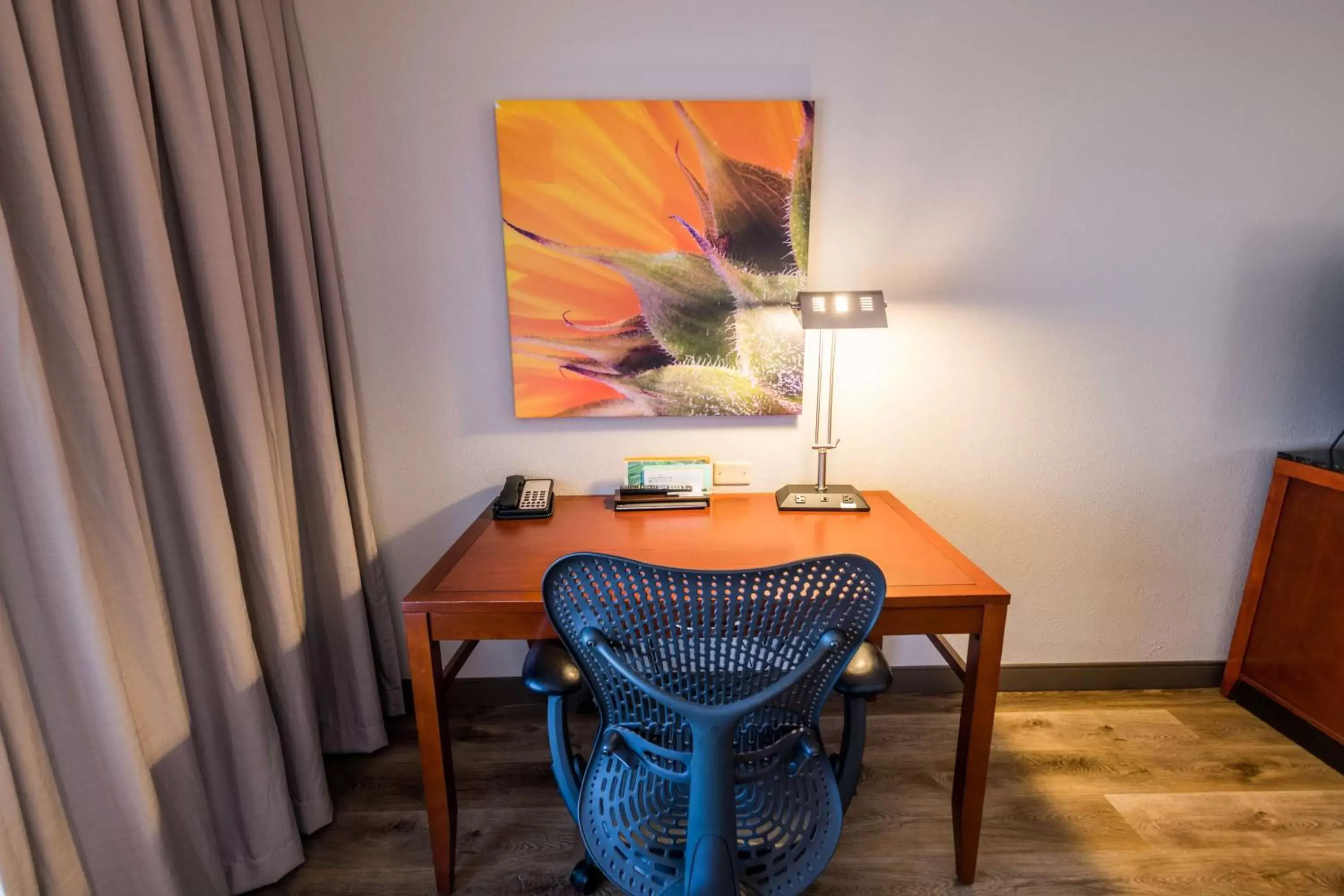 Bedroom, TV/Entertainment Center in Hilton Garden Inn Bowling Green