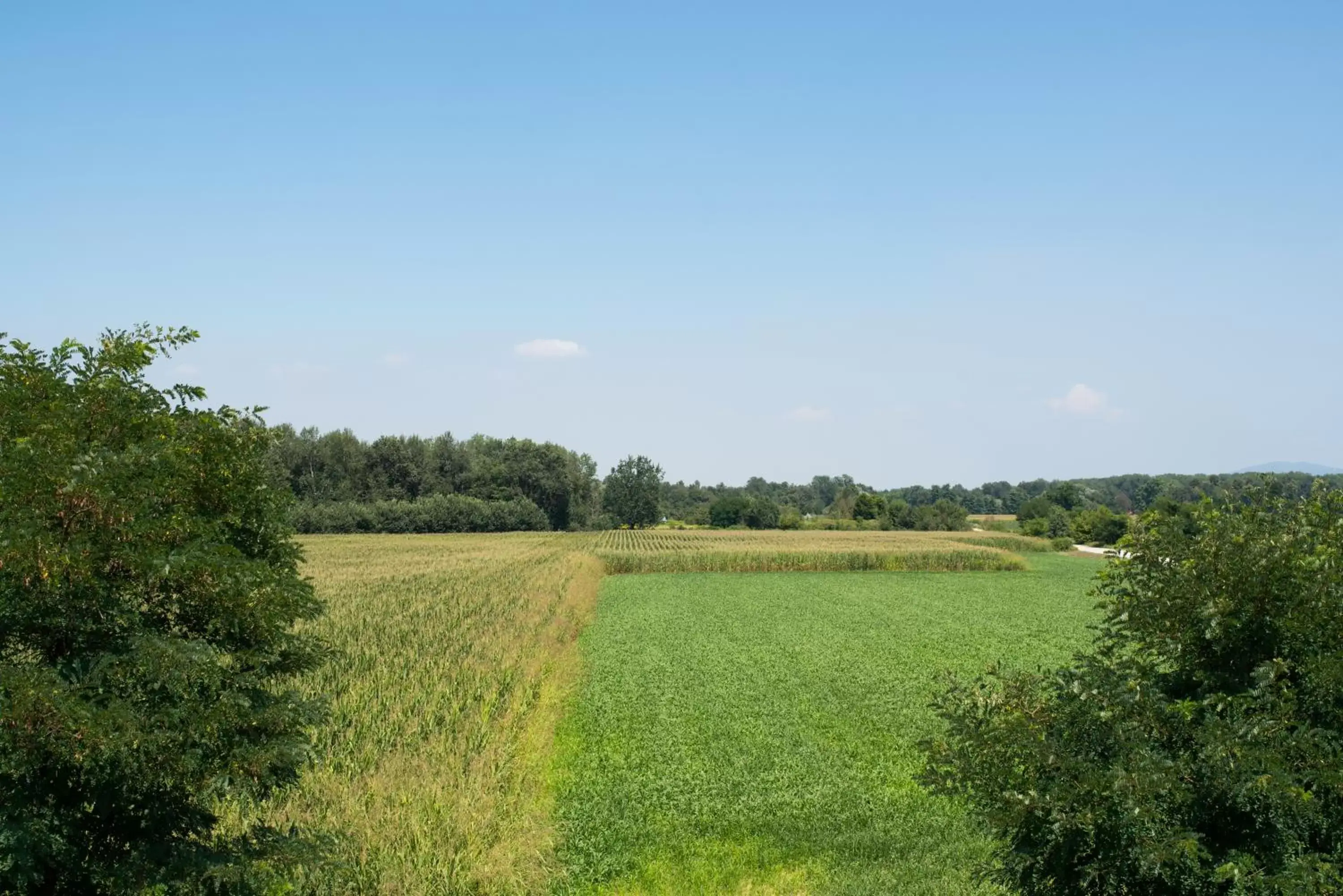 Natural Landscape in Green Class Hotel Candiolo