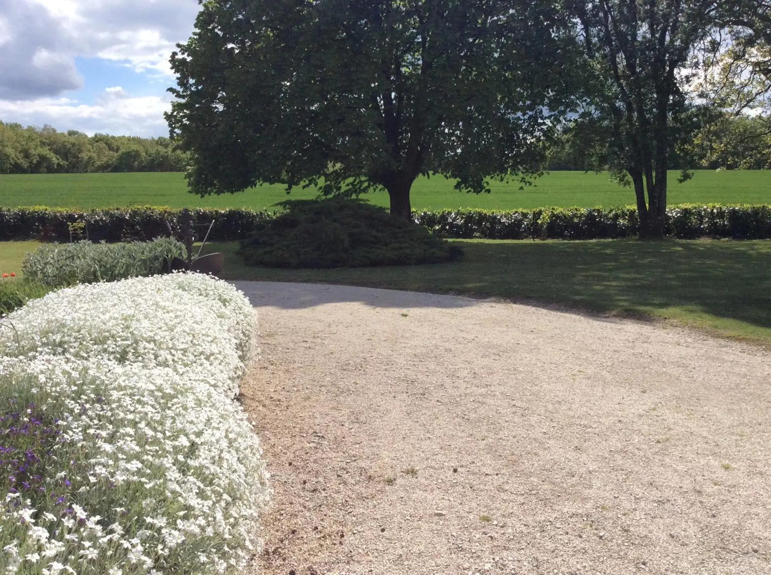 Natural landscape in Chambre d'hotes la Quercynoise