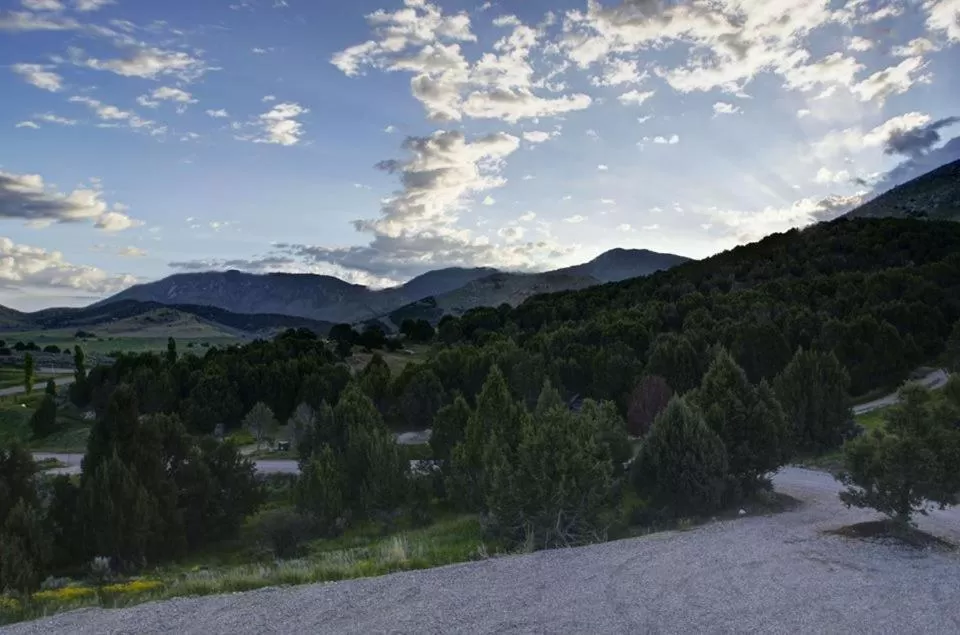 Natural Landscape in Lions Gate Manor