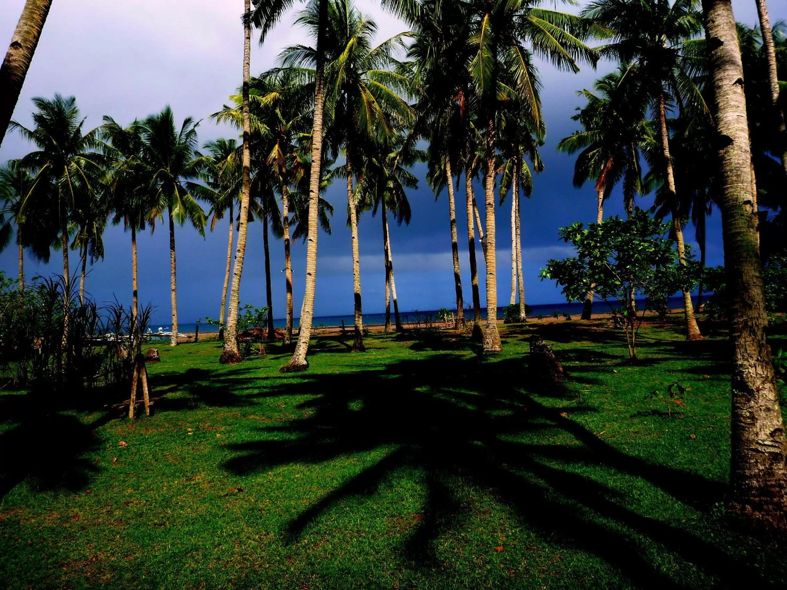 Garden view in SomeWhere Else Boutique Resort