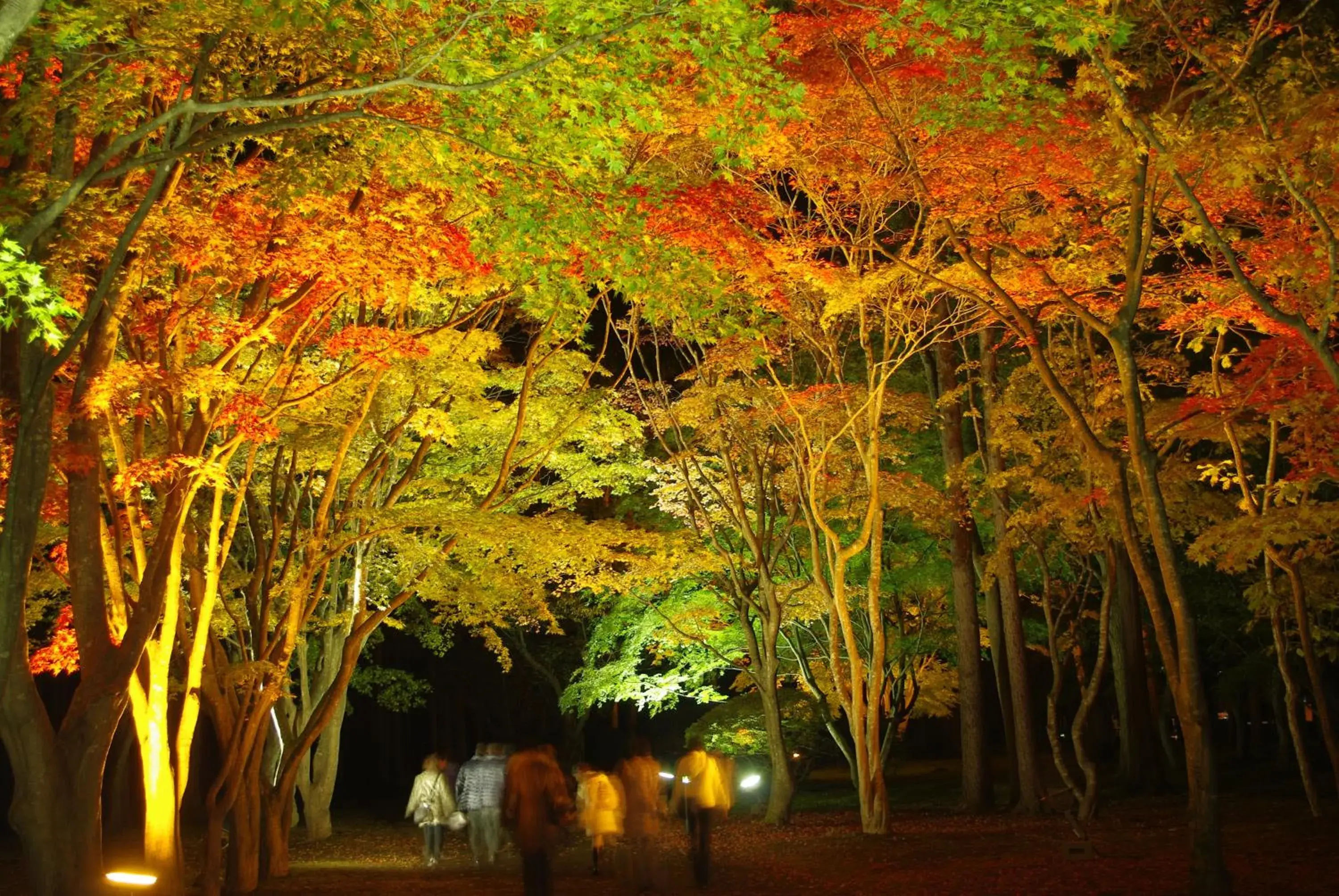 Nearby landmark, Garden in Hanabishi Hotel