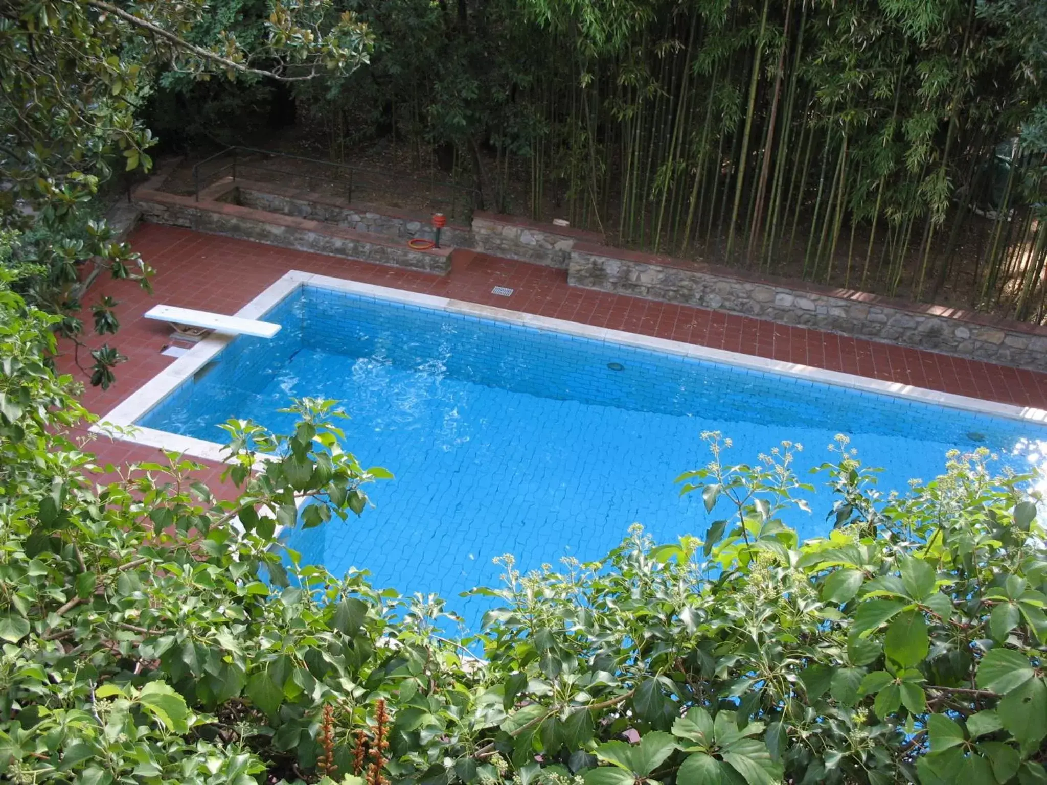 Garden, Swimming Pool in Villa La Nussa