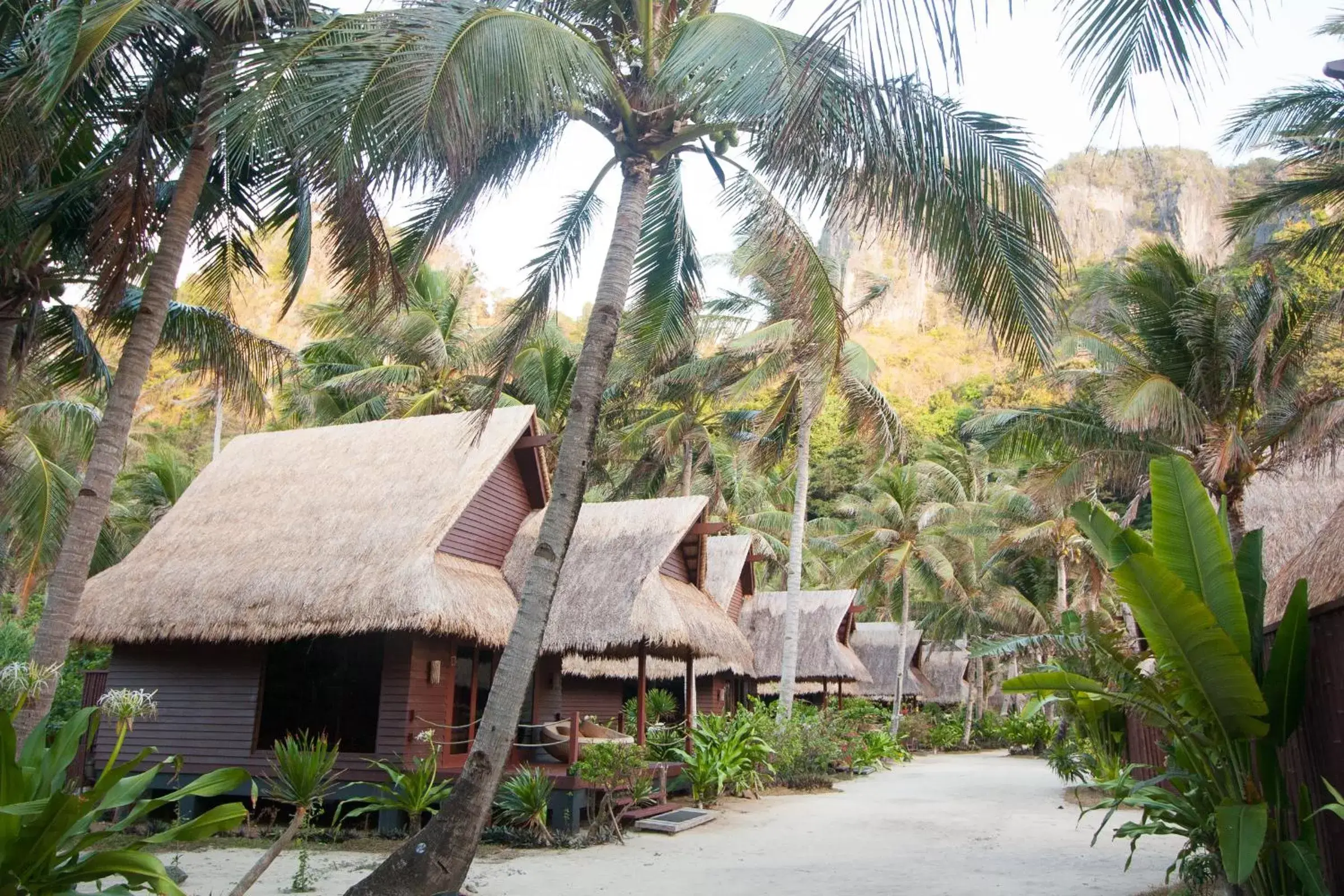 View (from property/room) in Cauayan Island Resort and Spa View (from property/room) in Cauayan Island Resort and Spa