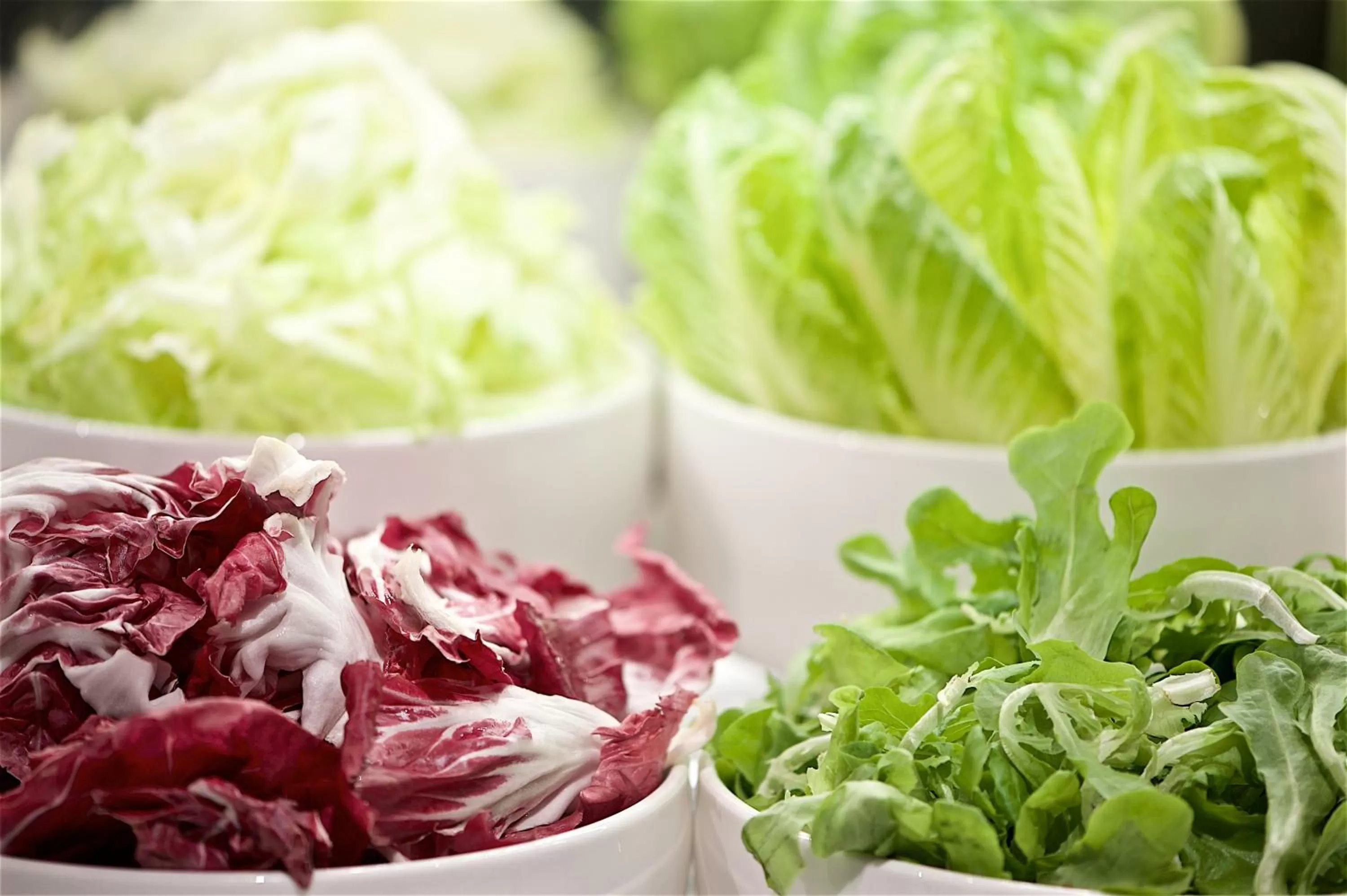 Just Sleep - Ximending