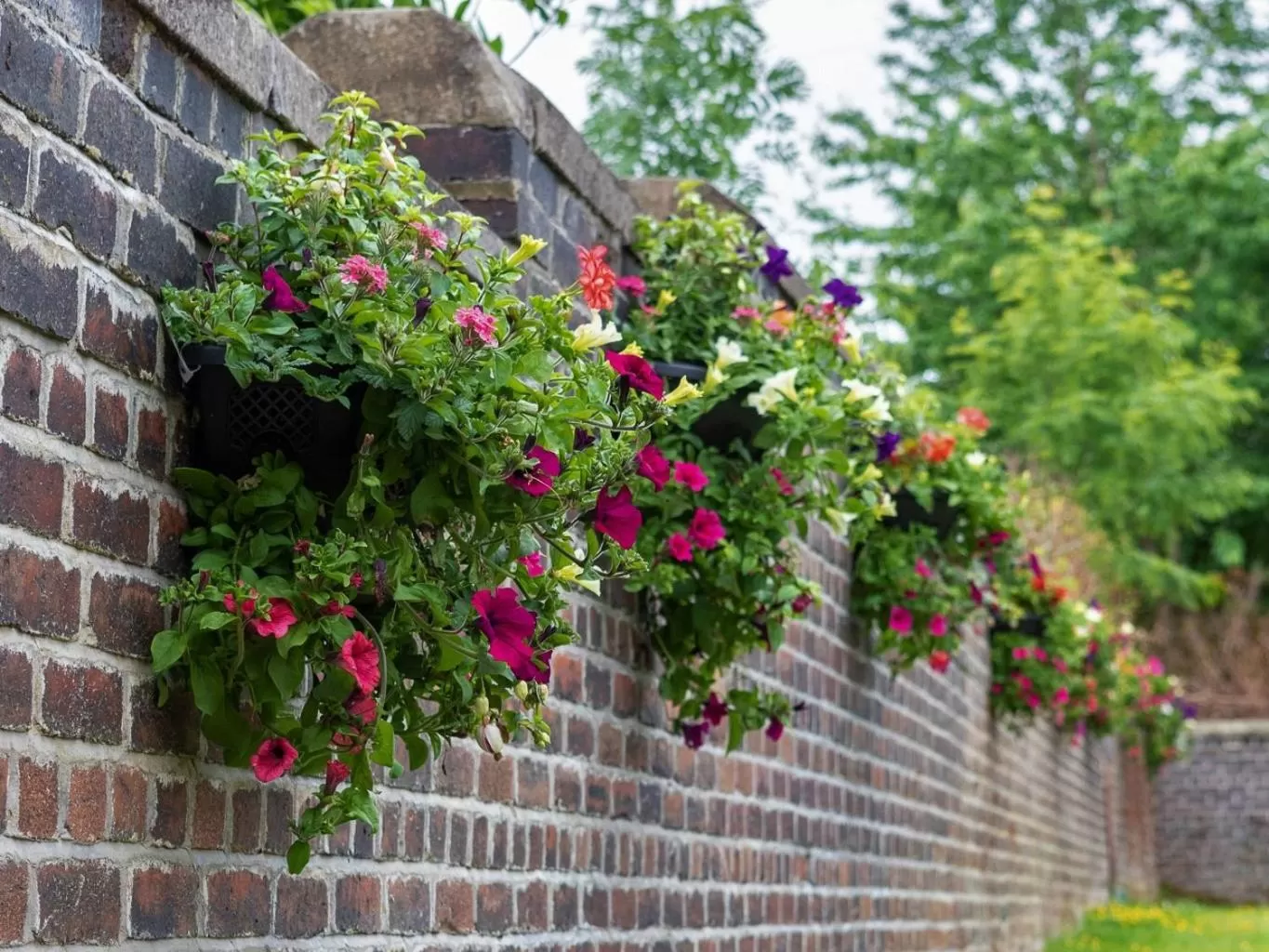 Property building in The Punch Bowl