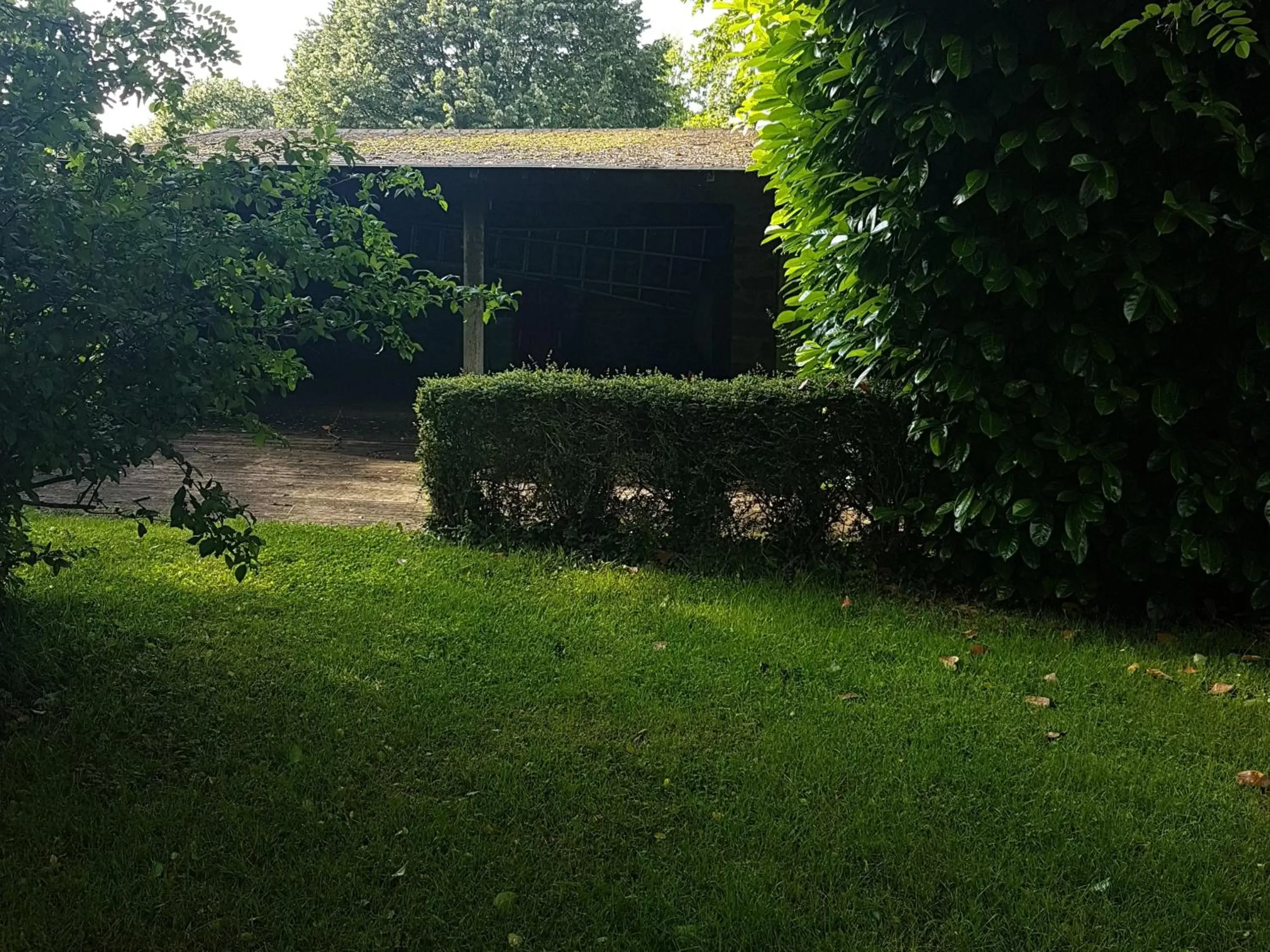 Garden in Chambres d'Hôtes Les Ifs