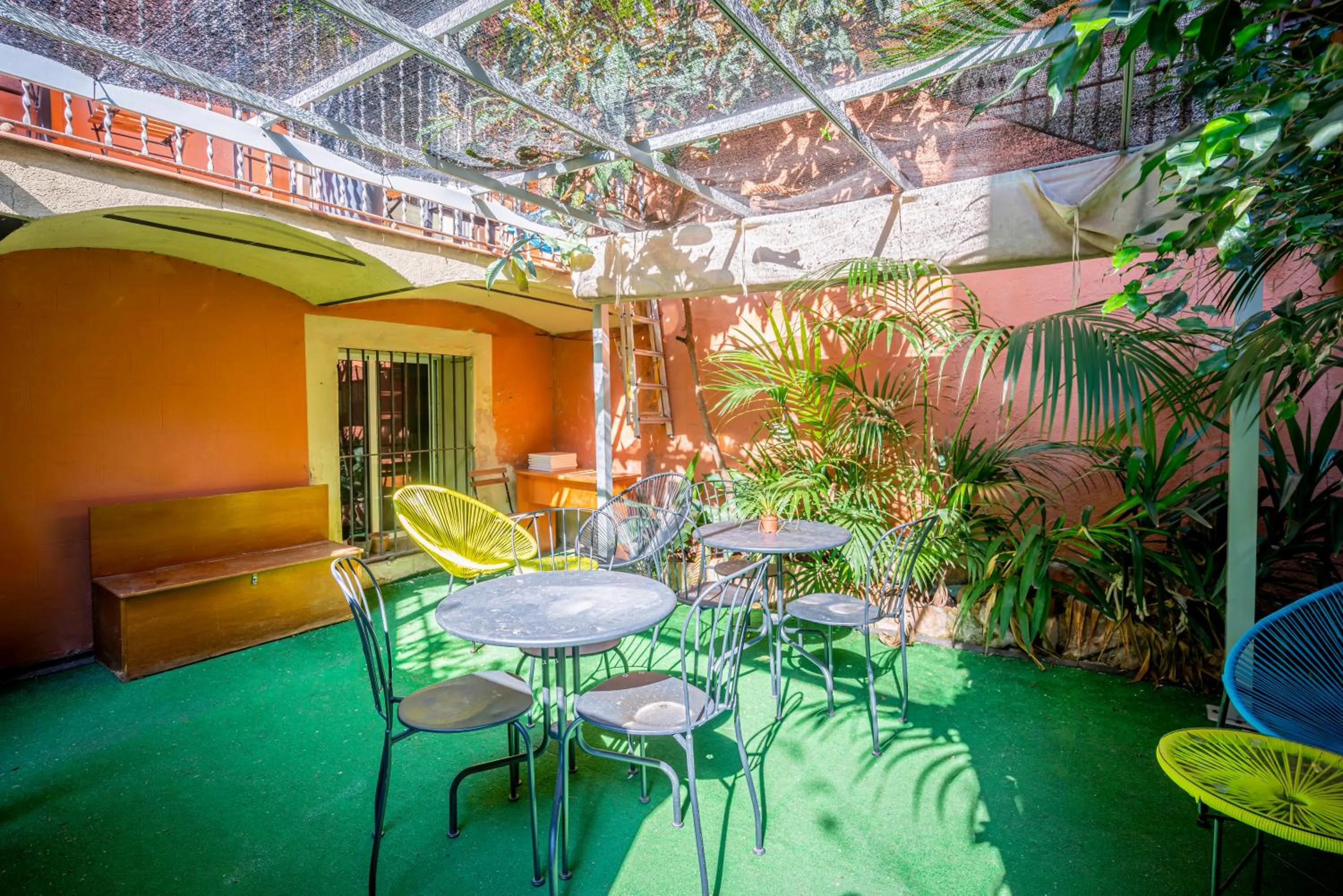 Garden in Casa Barcelo Hostel Barcelona