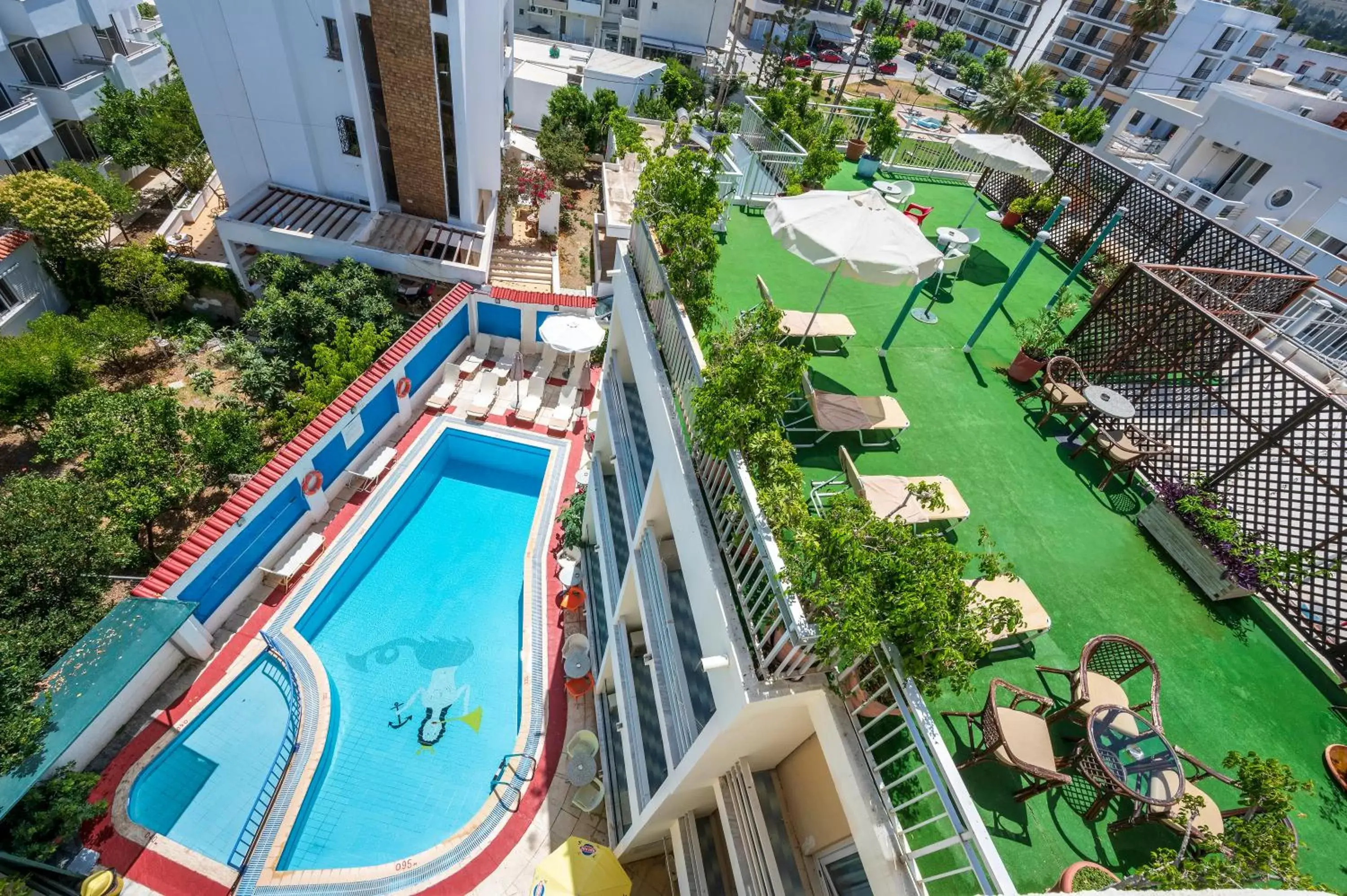 Swimming pool, Pool View in Hotel Koala