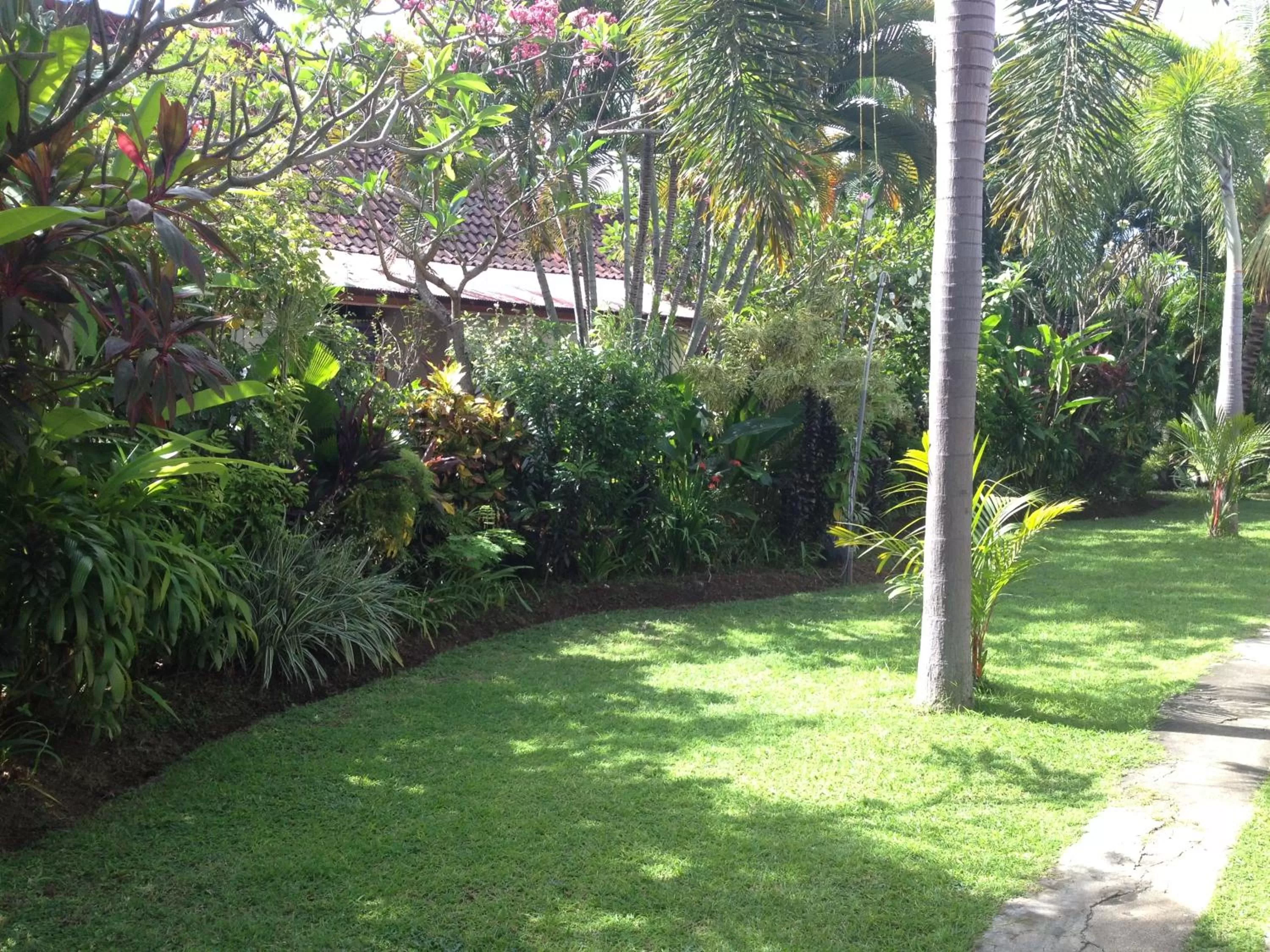 Garden in Astina Hotel