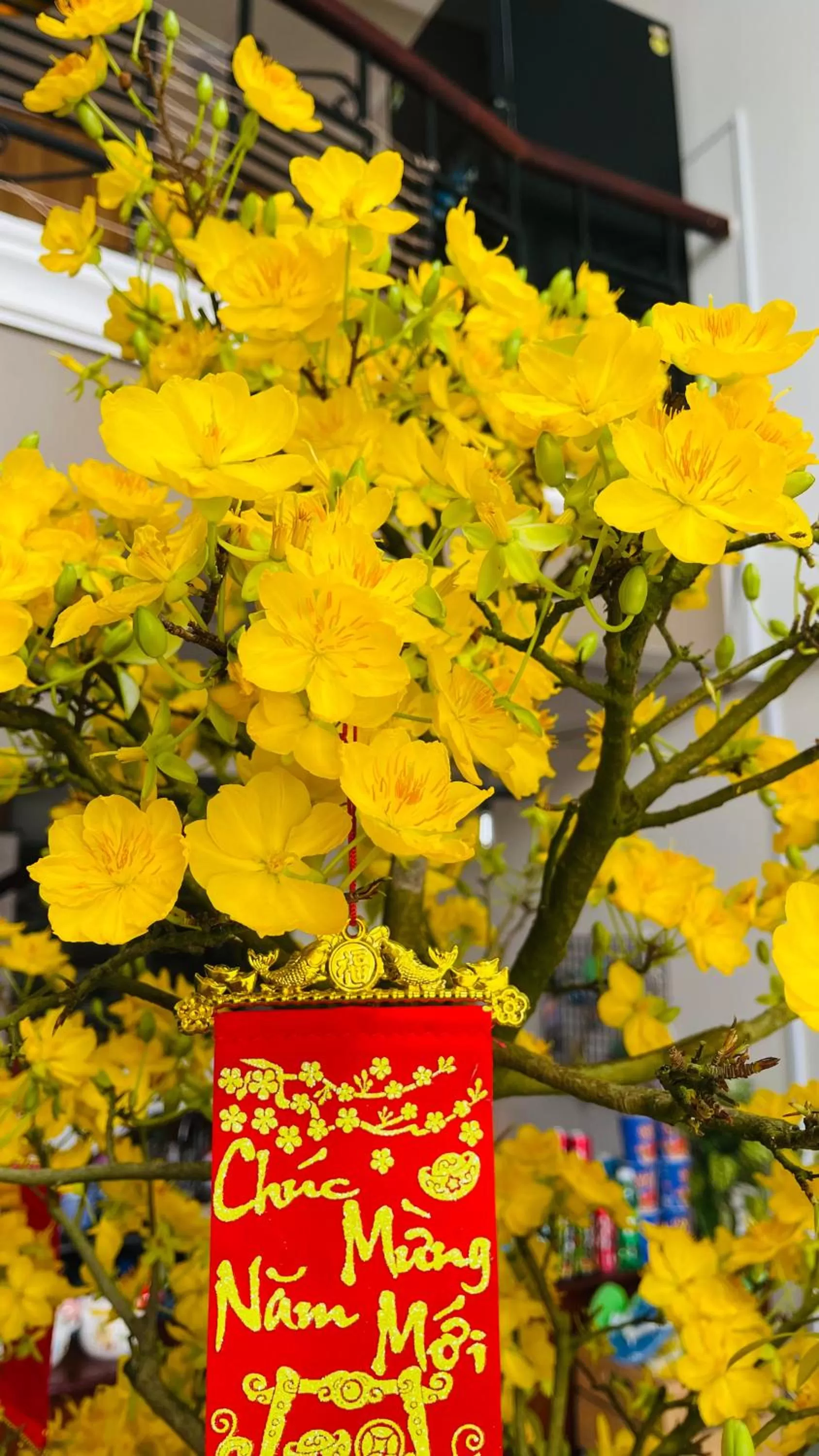 Lobby or reception in STAY hostel 2 - 350m from the ferry