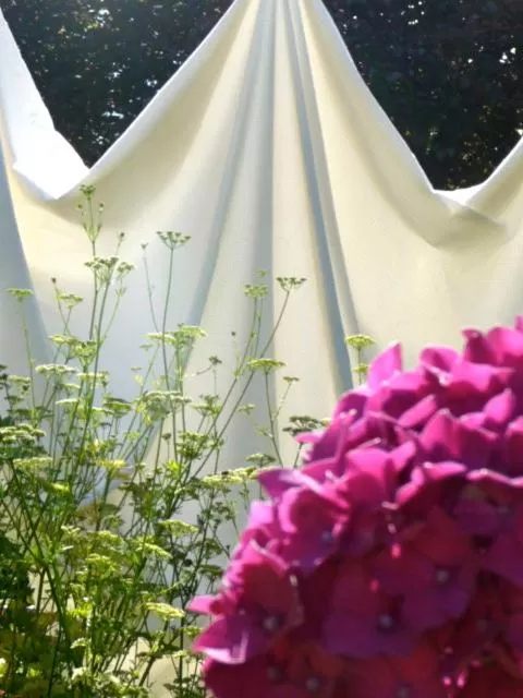 Other in Magnolia Petal