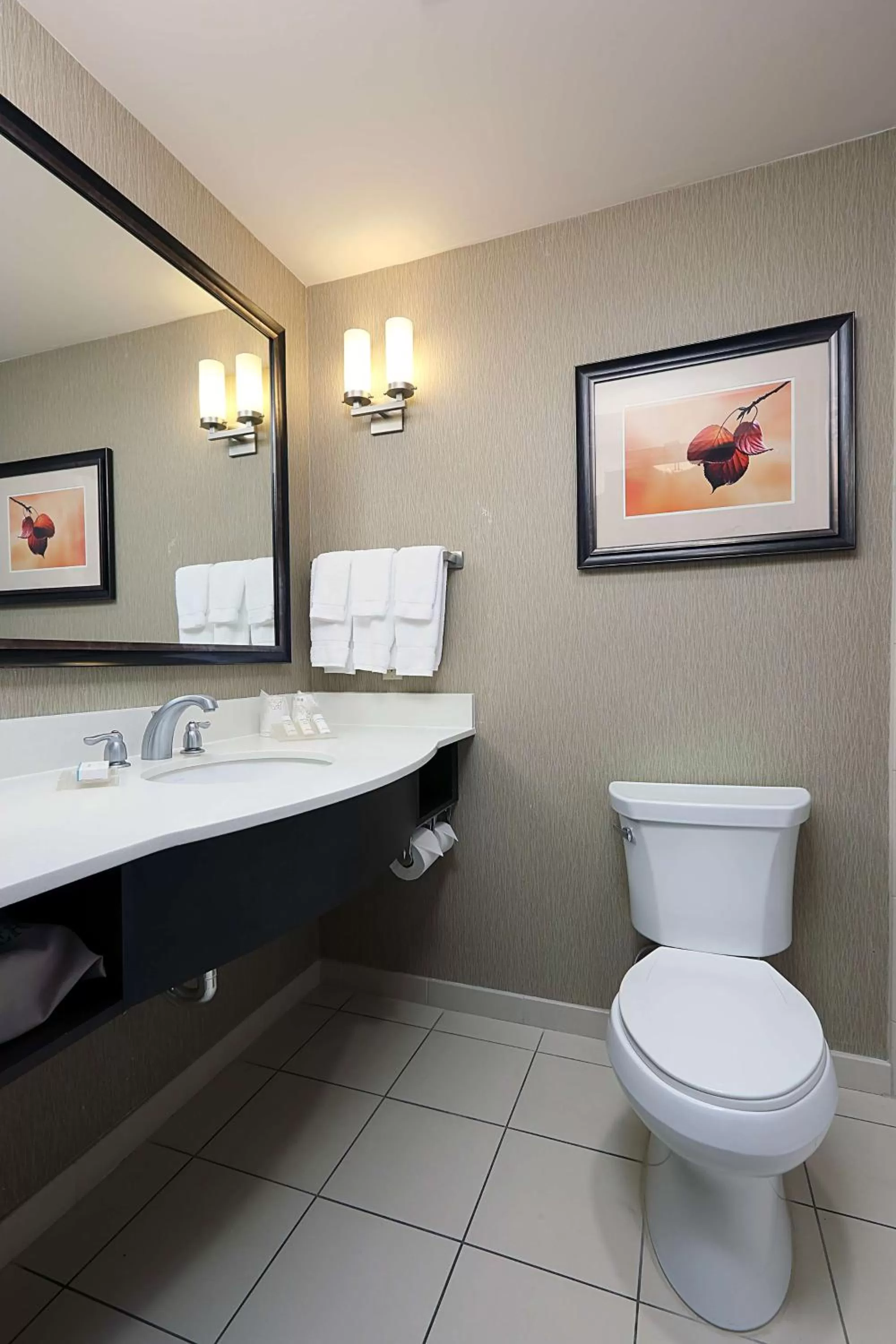 Bathroom in Hilton Garden Inn Clifton Park