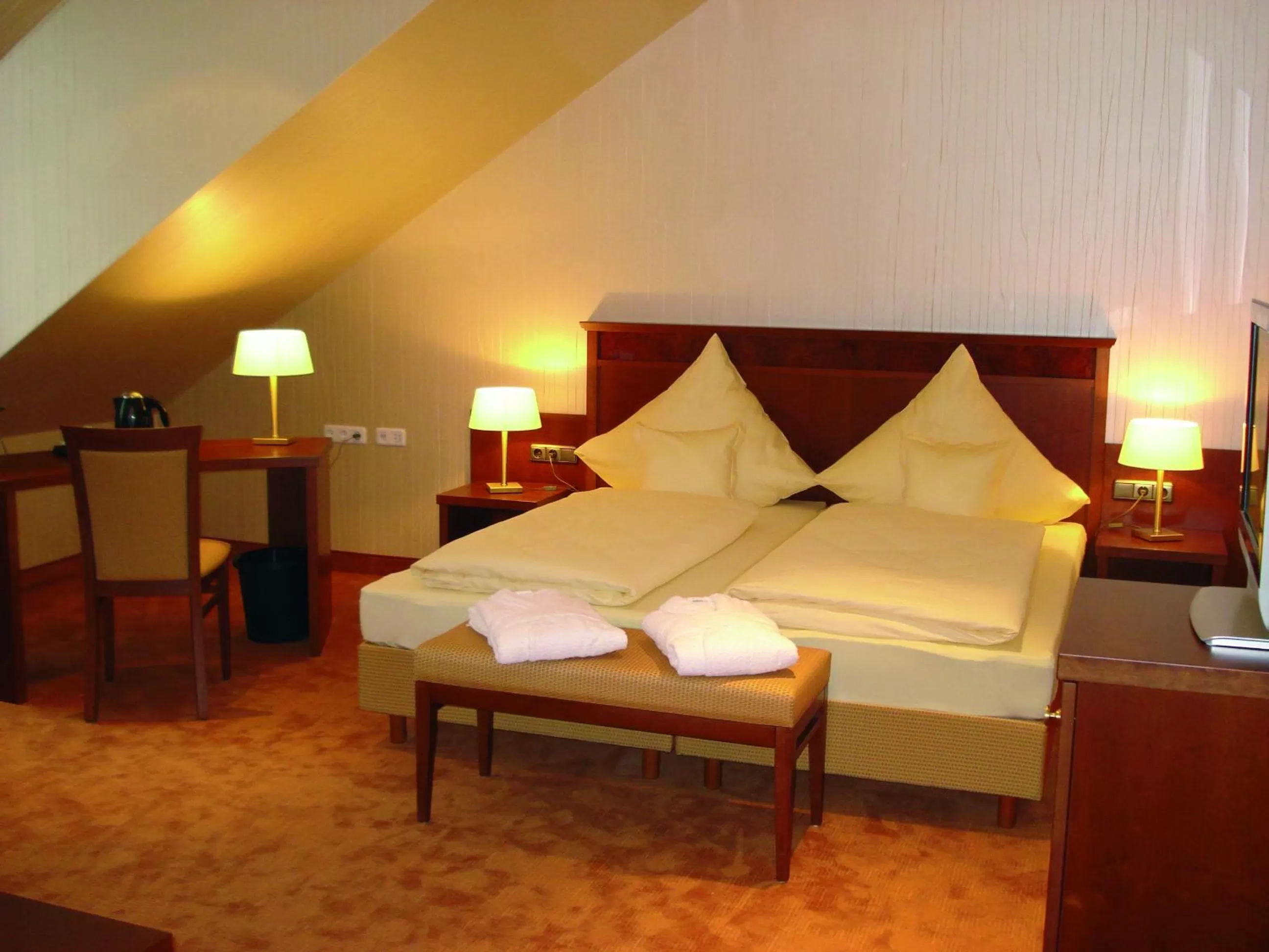 Double Room - single occupancy in Mercator-Hotel