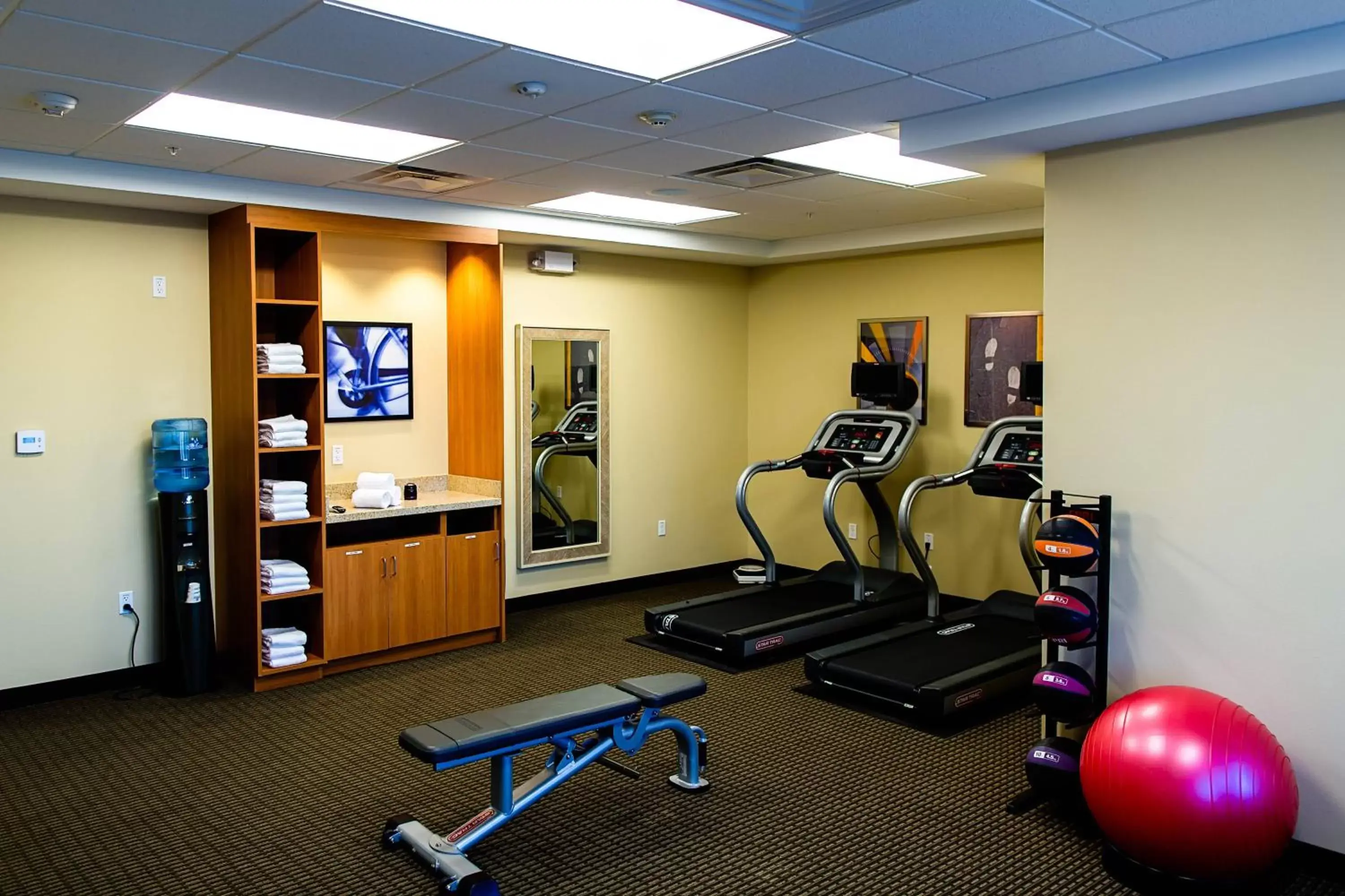 Fitness centre/facilities, Fitness Center/Facilities in TownePlace Suites by Marriott Lancaster