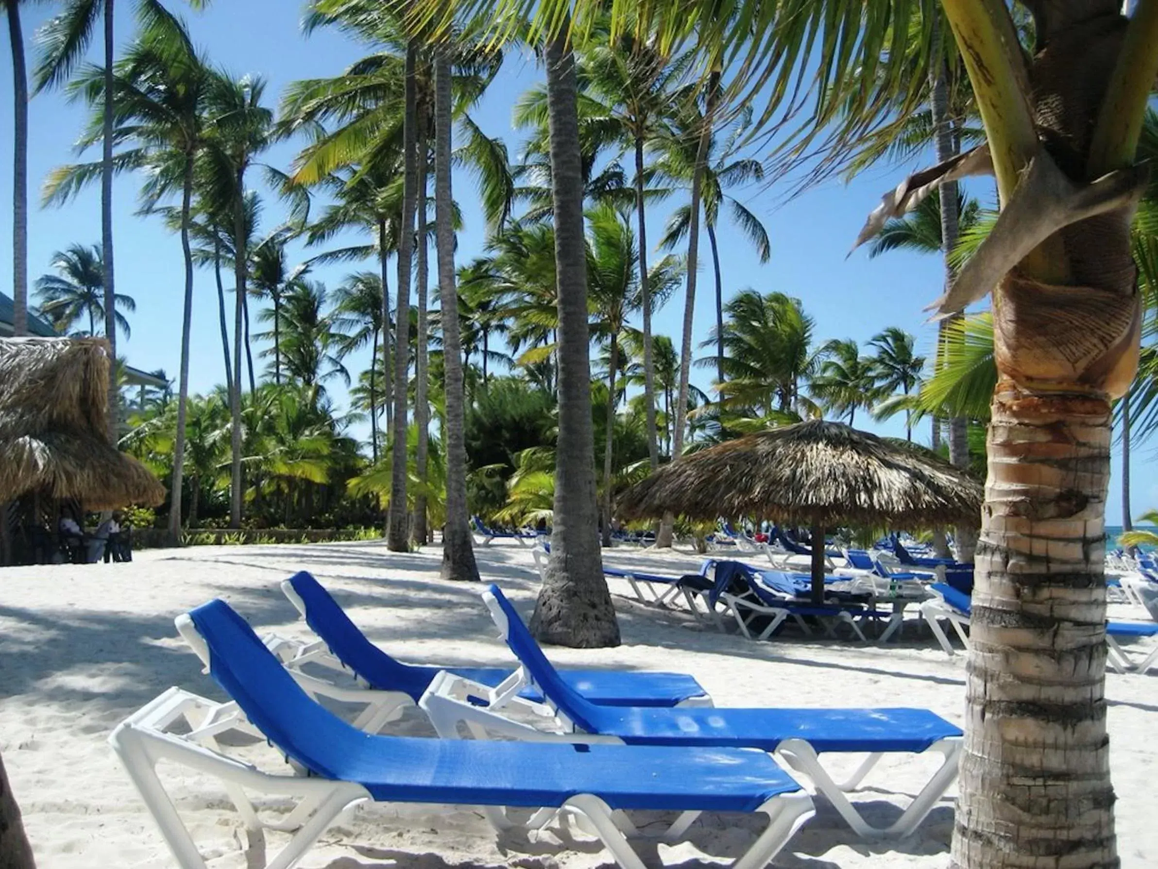 Beach, Swimming Pool in Villas Tropical Los Corales Beach & Spa